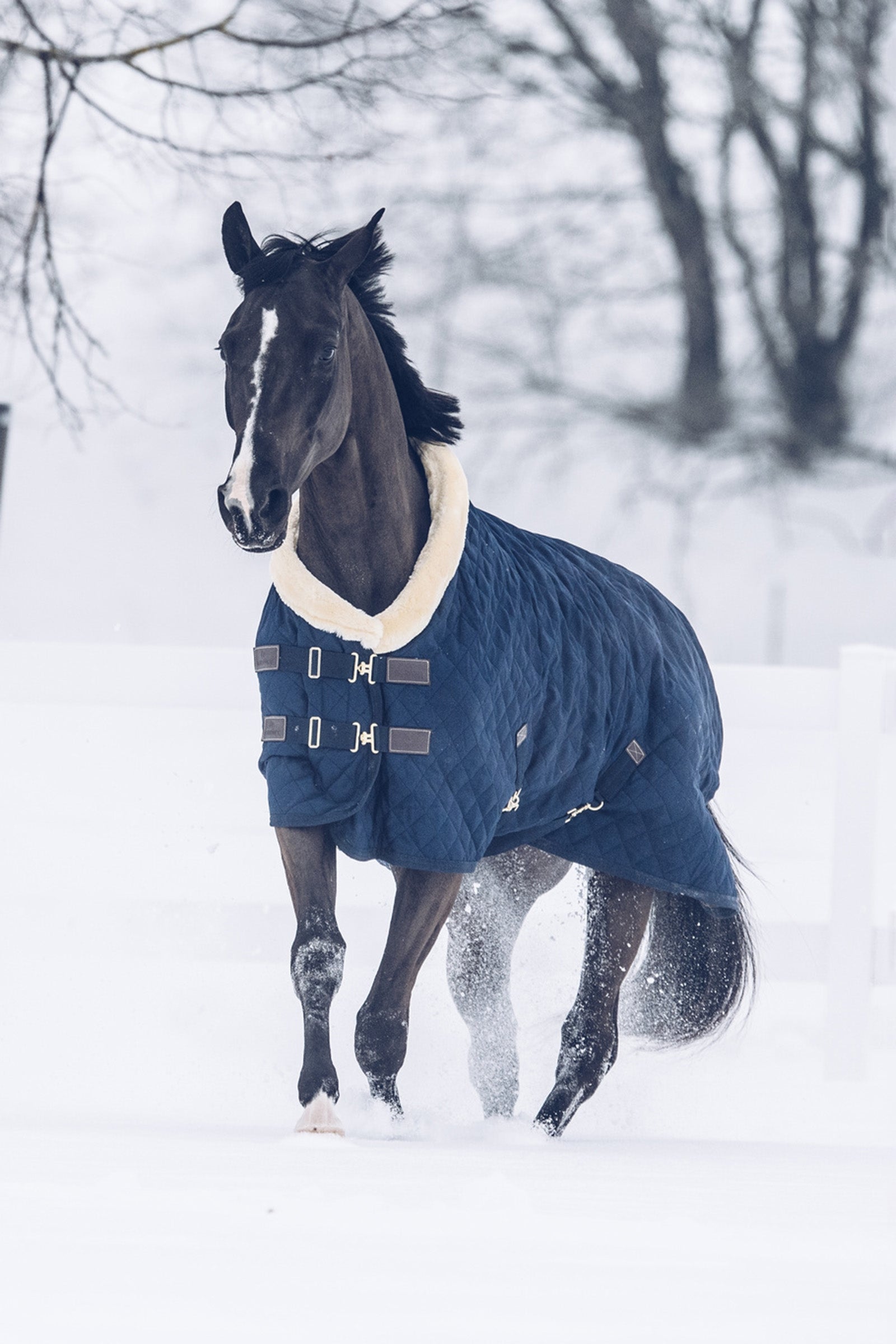 Kentucky Horsewear Showdeken, 160 gram Paardendekens