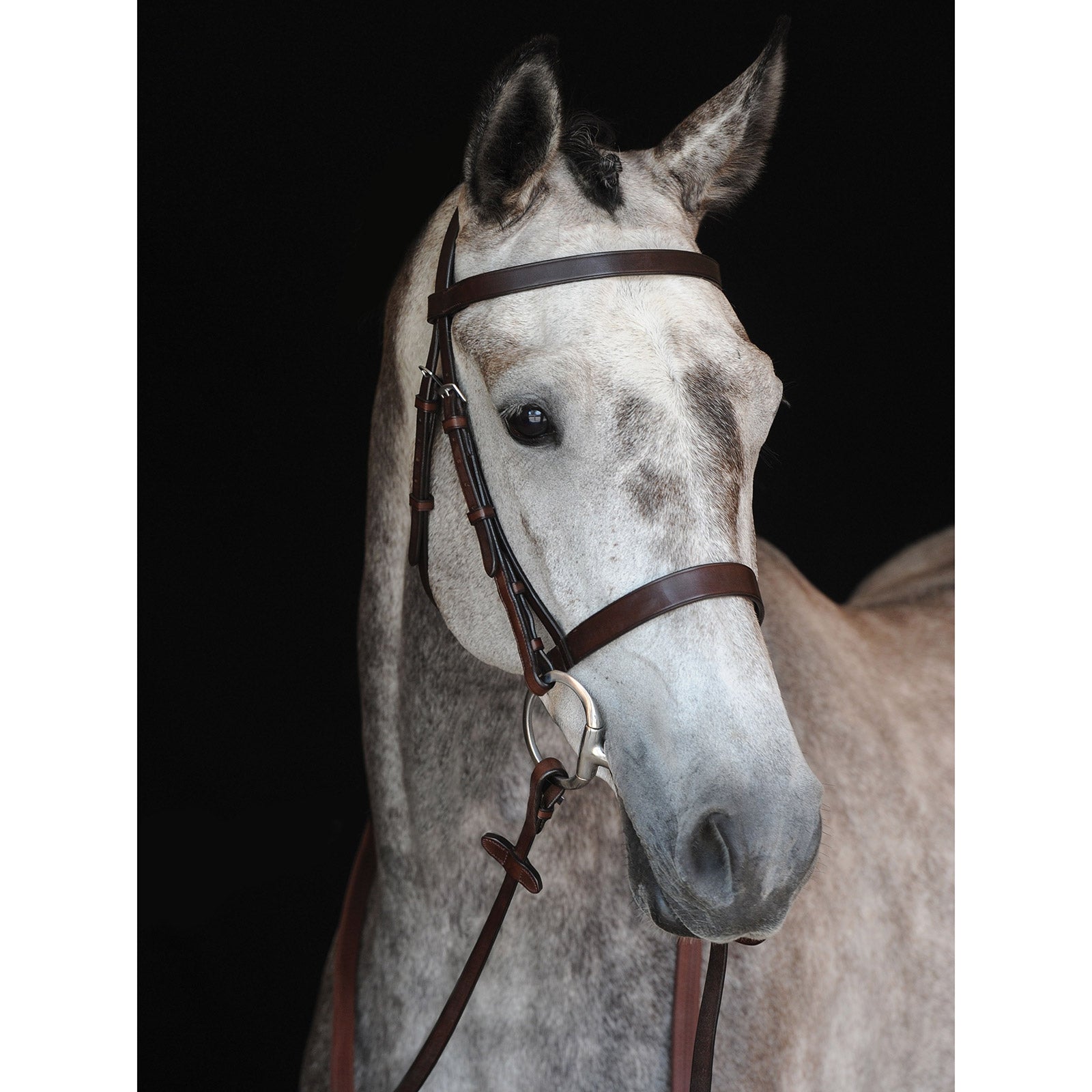 Collegiate Hunt Hoofdstel IV Hoofdstellen & Teugels