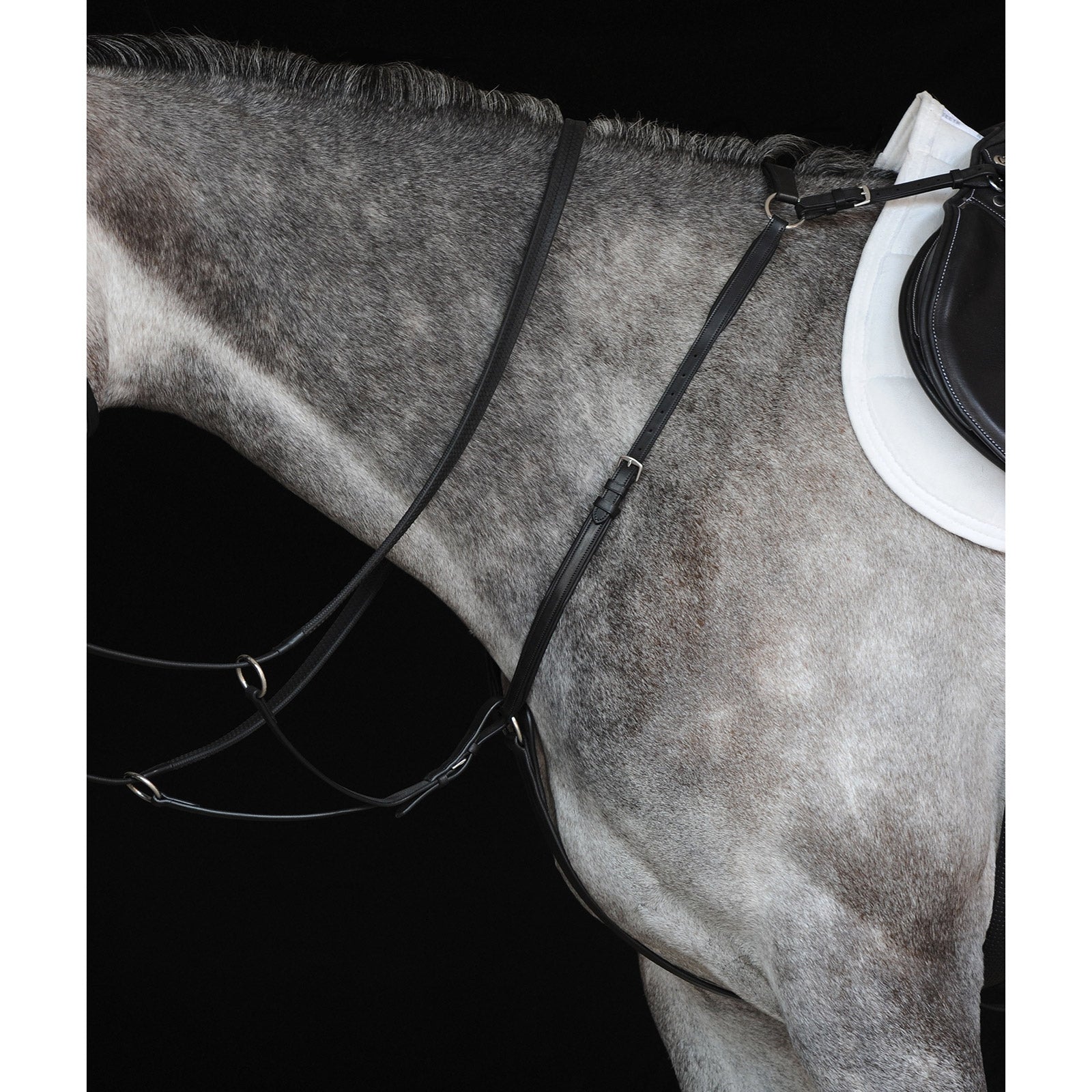 Collegiate Hunter Borststuk IV Hoofdstellen & Teugels