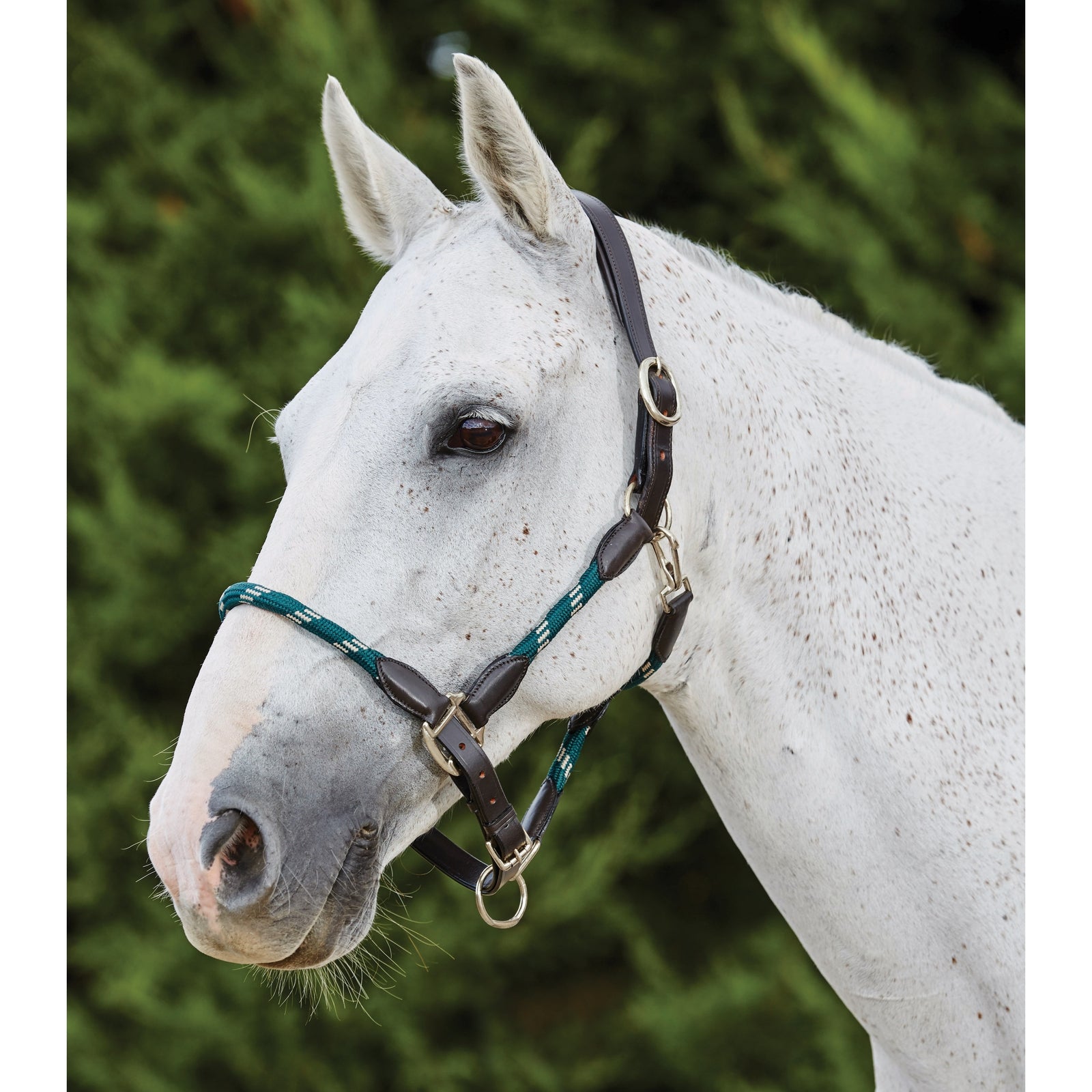 Kincade Lederen Touwhalster Halsters & Halstertouwen