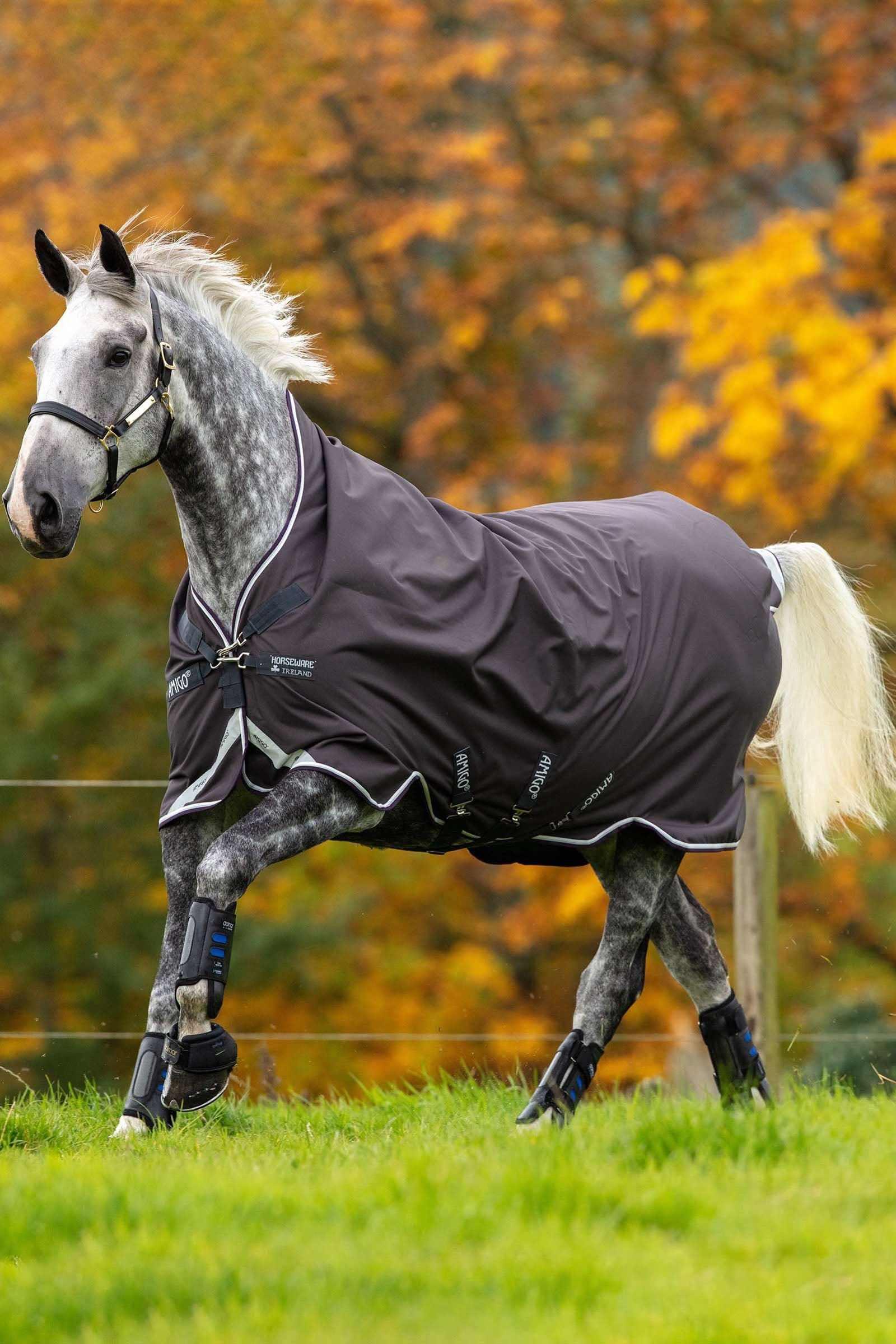 Horseware Amigo Bravo 12 Wug Turnout Rug With High Neck, 0g Horse Rugs