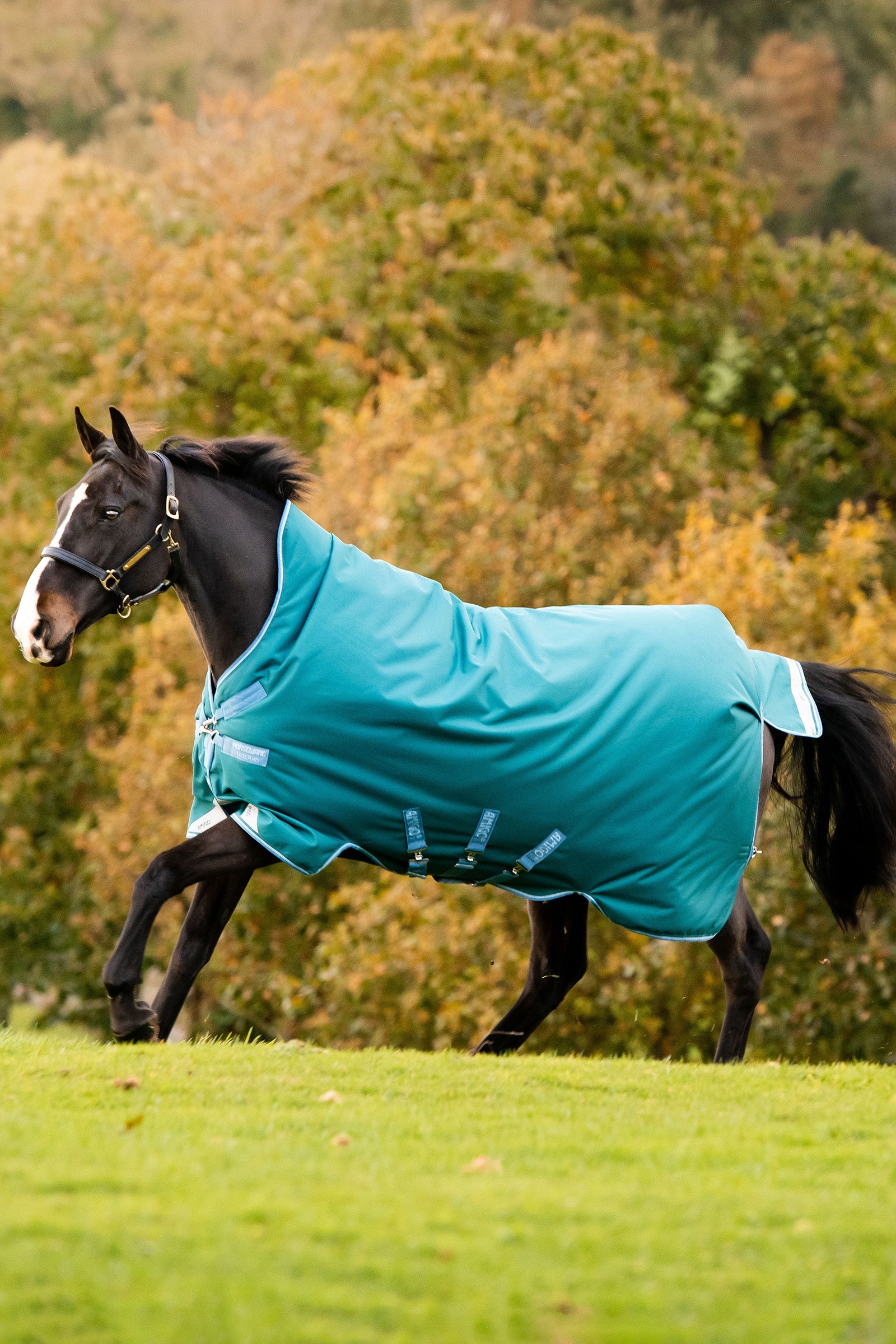 Horseware Amigo Bravo 12 Wug buitendeken met hoge hals, 0 g Paardendekens