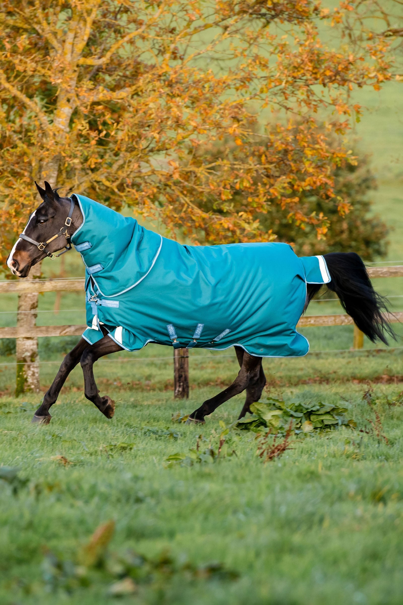 Horseware Amigo Bravo 12 Plus outdoordeken met afneembare hals, 400g Paardendekens