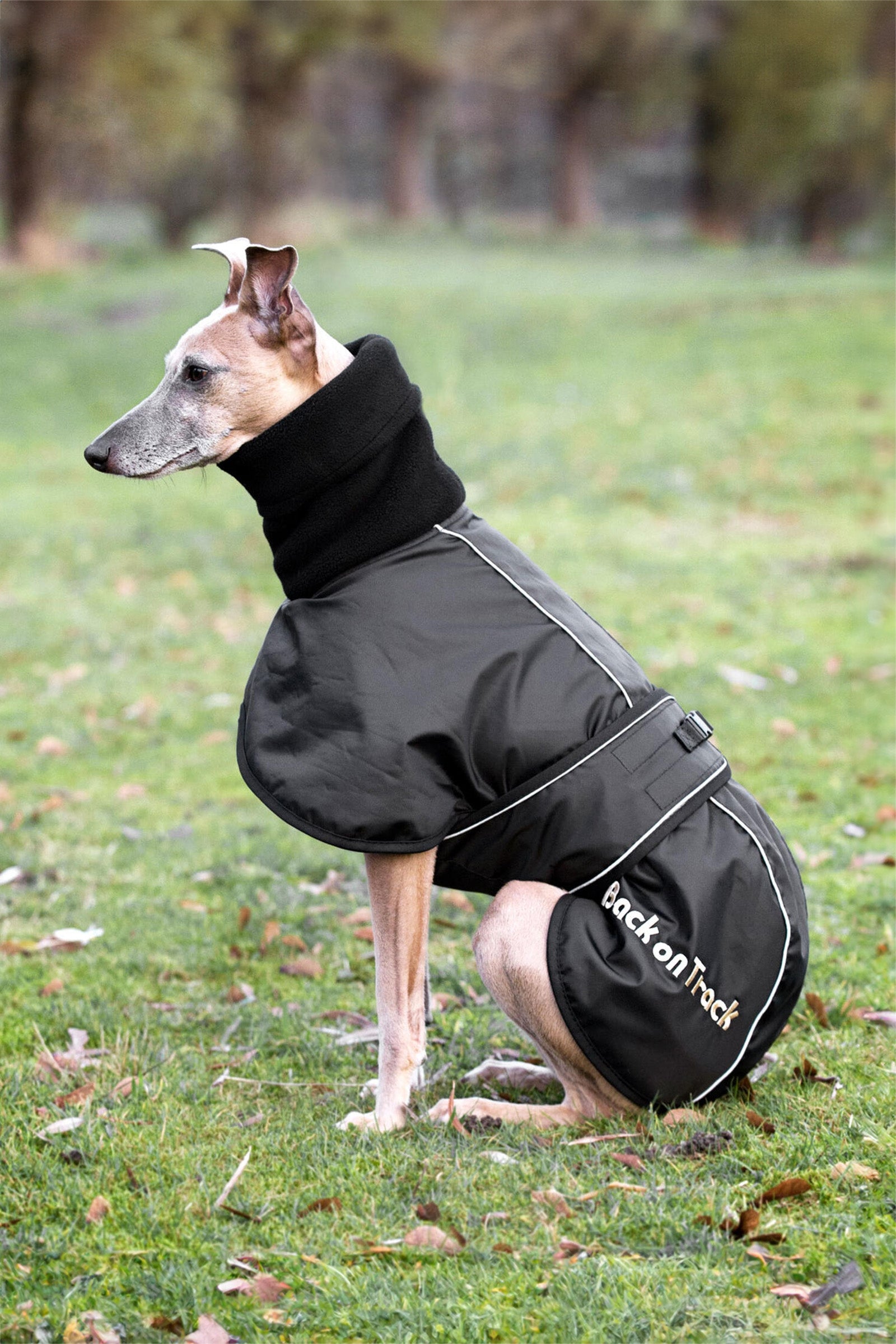 Back on Track Whippet Hondendeken, XS-M Hond