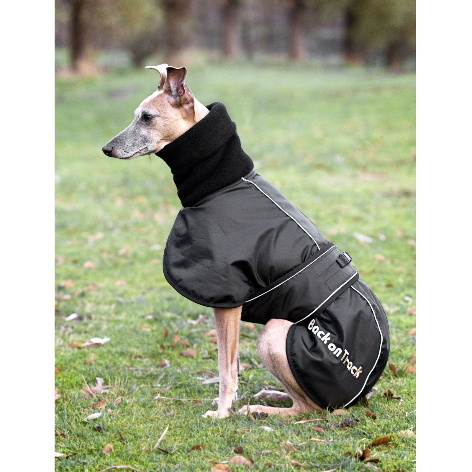 Back on Track Whippet Hondendeken, L-XXL Hond