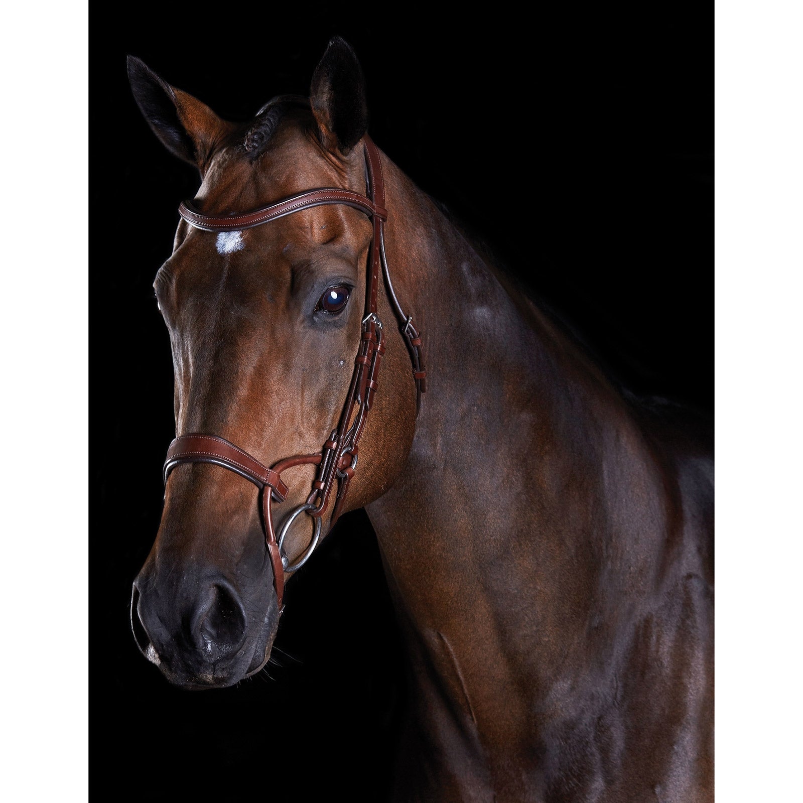 Collegiate ComFiTec Training Hoofdstel Hoofdstellen & Teugels