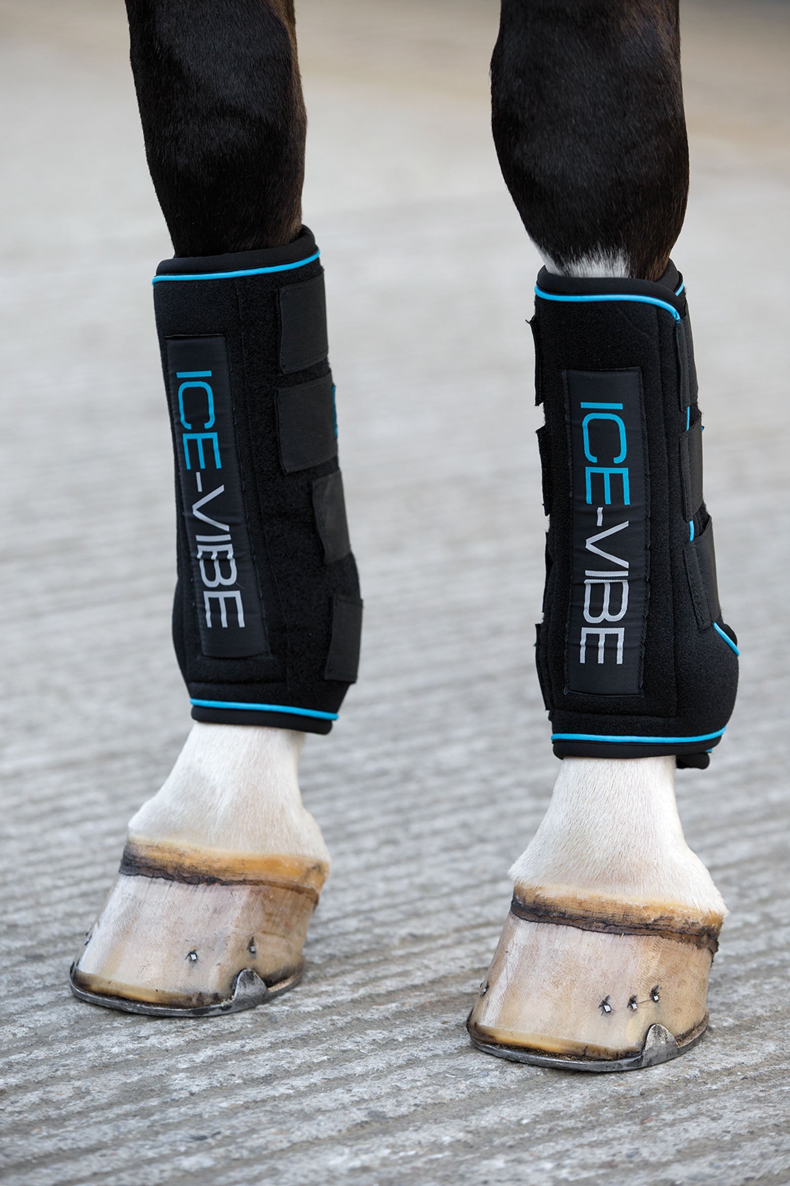 Horseware Ice-Vibe Boots Leg Protection & Hoof Protection for Horses