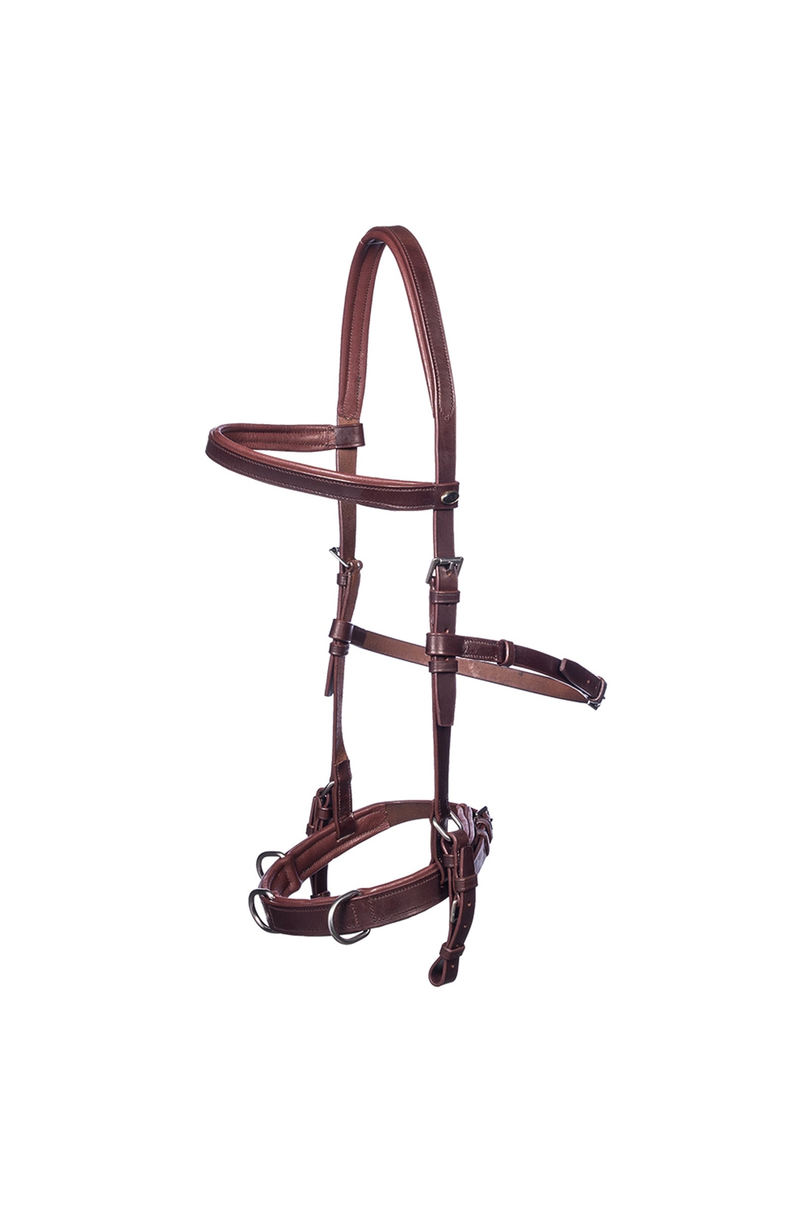 F.R.A. Freedom Riding Articles Baro kaptoom, leer Hoofdstellen & Teugels