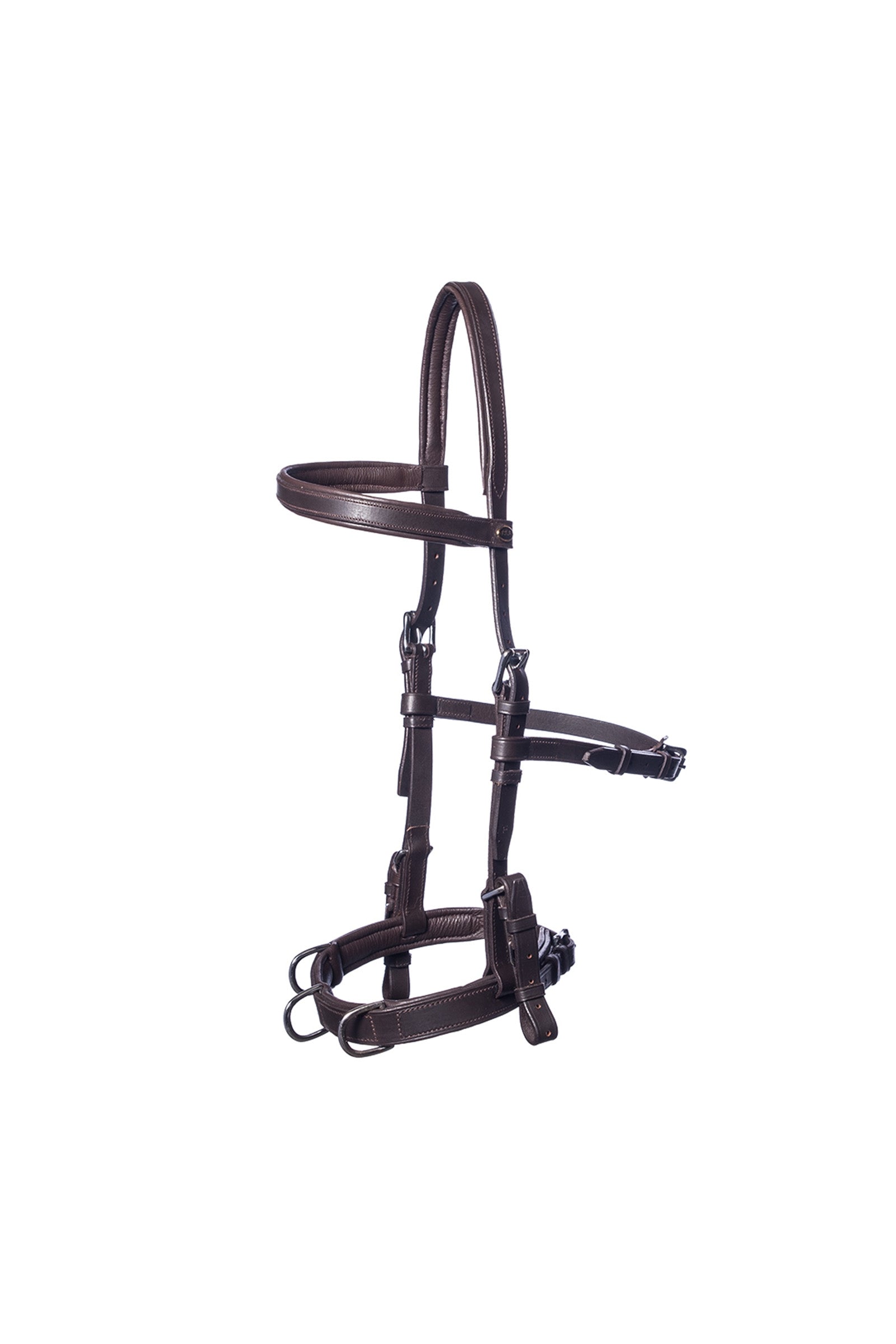 F.R.A. Freedom Riding Articles Baro Kaptoom, leer (shire) Longeren & Longeerhulp