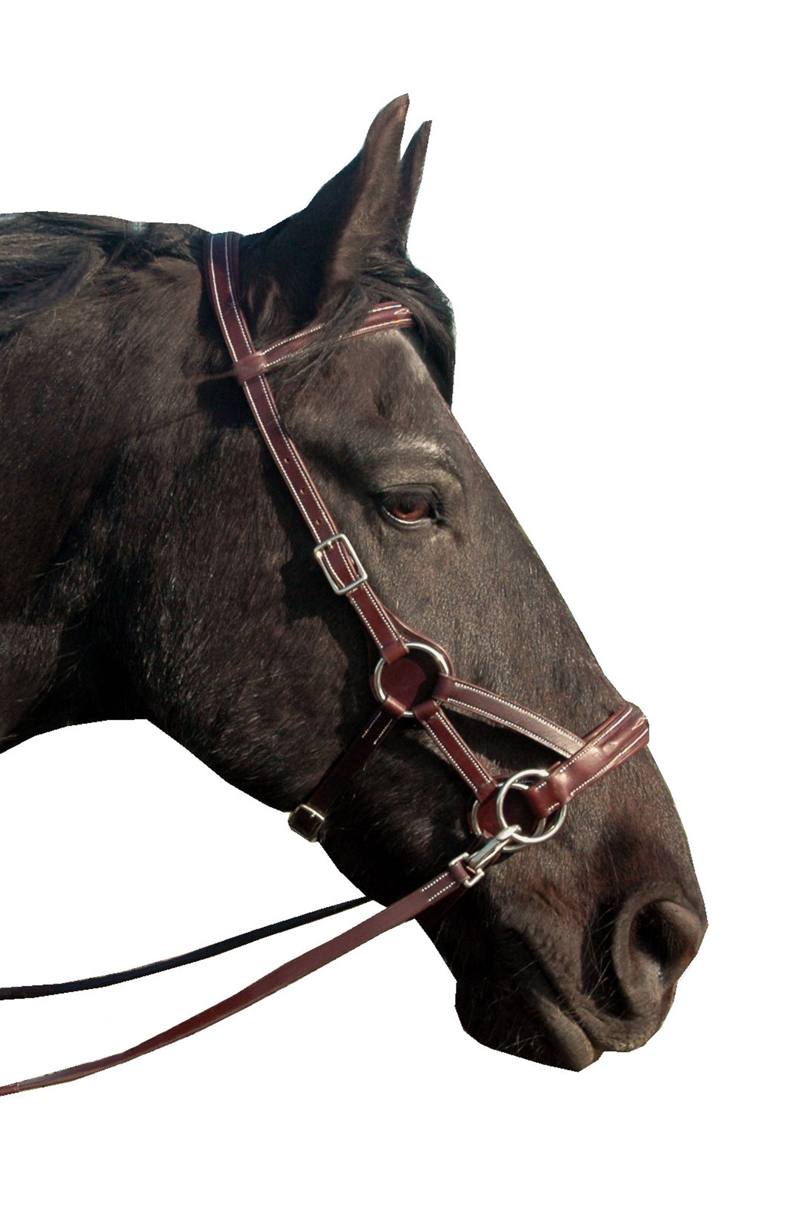 F.R.A. Freedom Riding Articles Flandy Side Pull (System 3) English Leather Bridles & Reins
