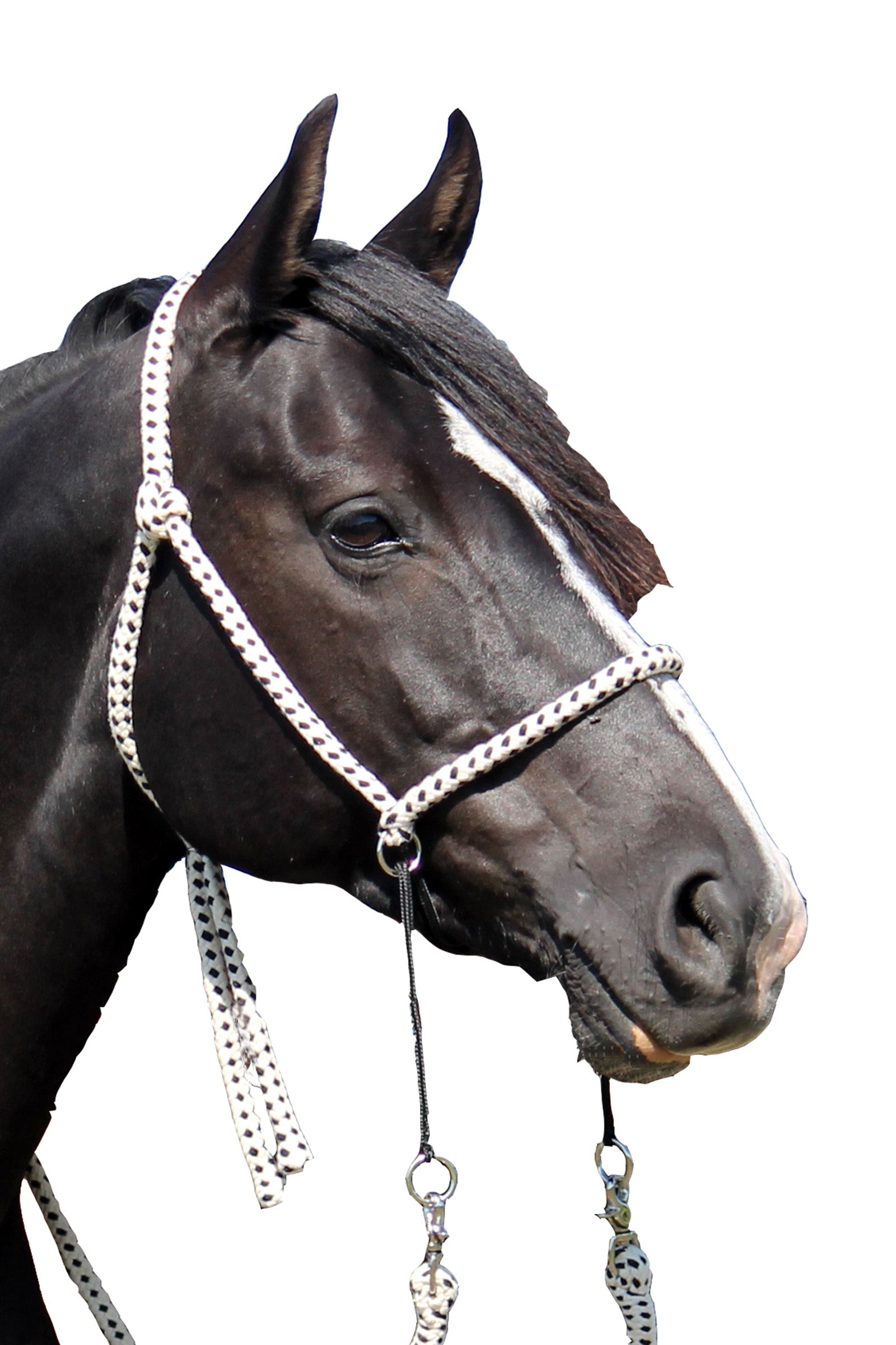 F.R.A. Freedom Riding Articles Nanouk Bitless Bridle (System 4) Cotton w/ Clip Reins Bridles & Reins