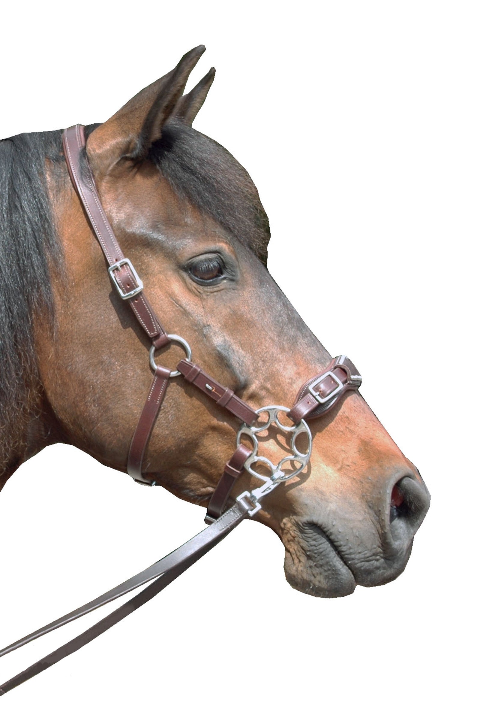 F.R.A. Freedom Riding Articles Miranti Hackamore (System 2) Leather, Jaw Straps, w/ Scissors Bridles & Reins