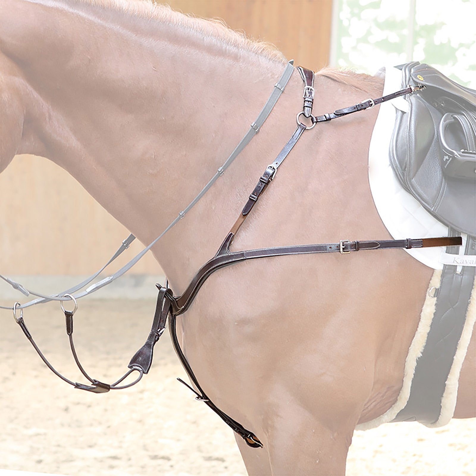 Kavalkade Breastplate Caya 5-point, anatomical Bridles & Reins