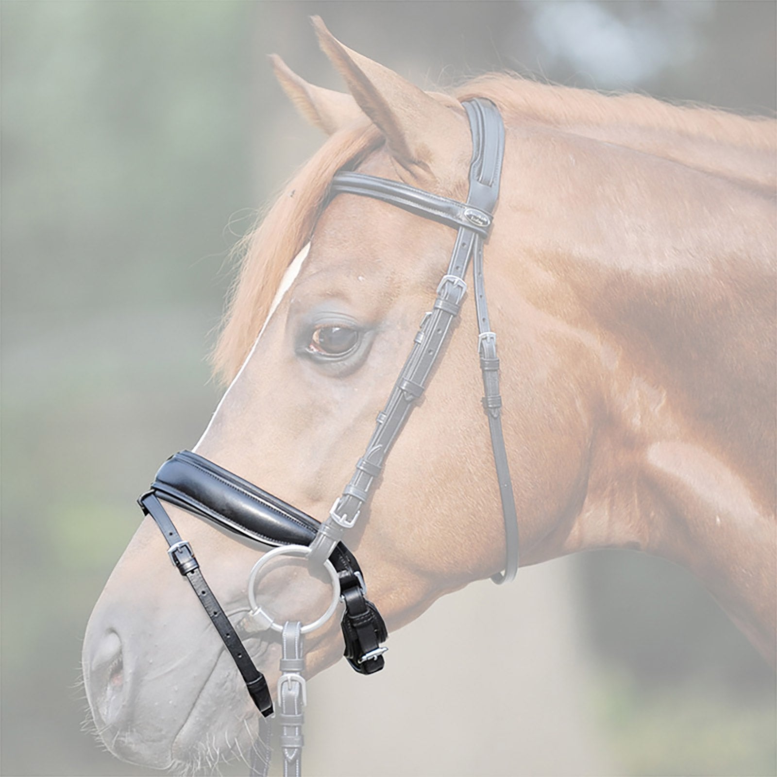 Kavalkade Aansnoerneusriem, extra breed Hoofdstellen & Teugels