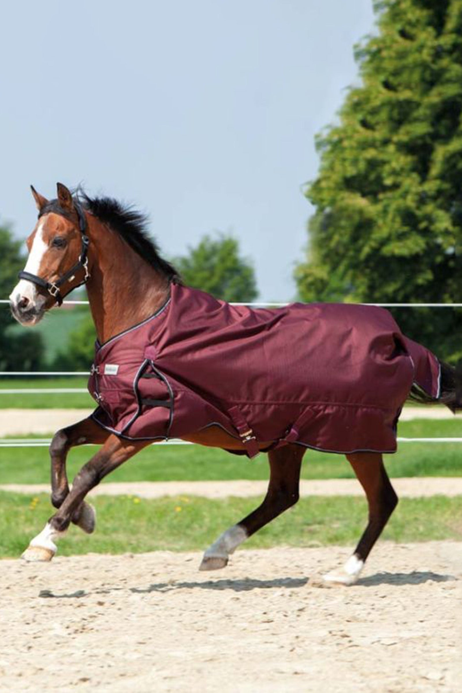Kavalkade Alaska IV Paardendeken, 100 g Paardendekens