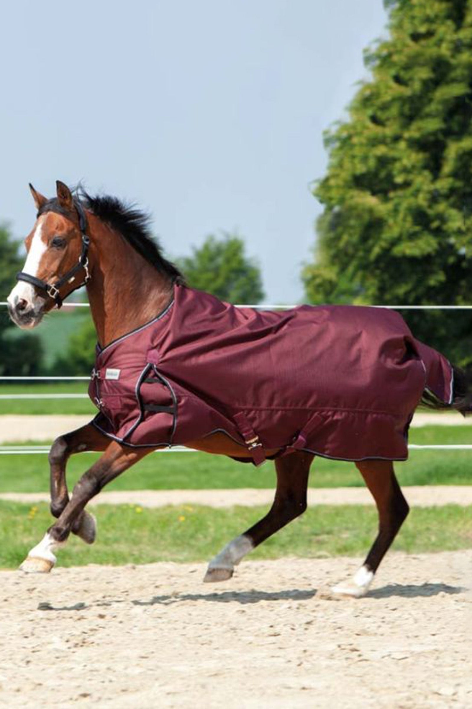 Kavalkade Alaska IV Paardendeken, 300 g Paardendekens