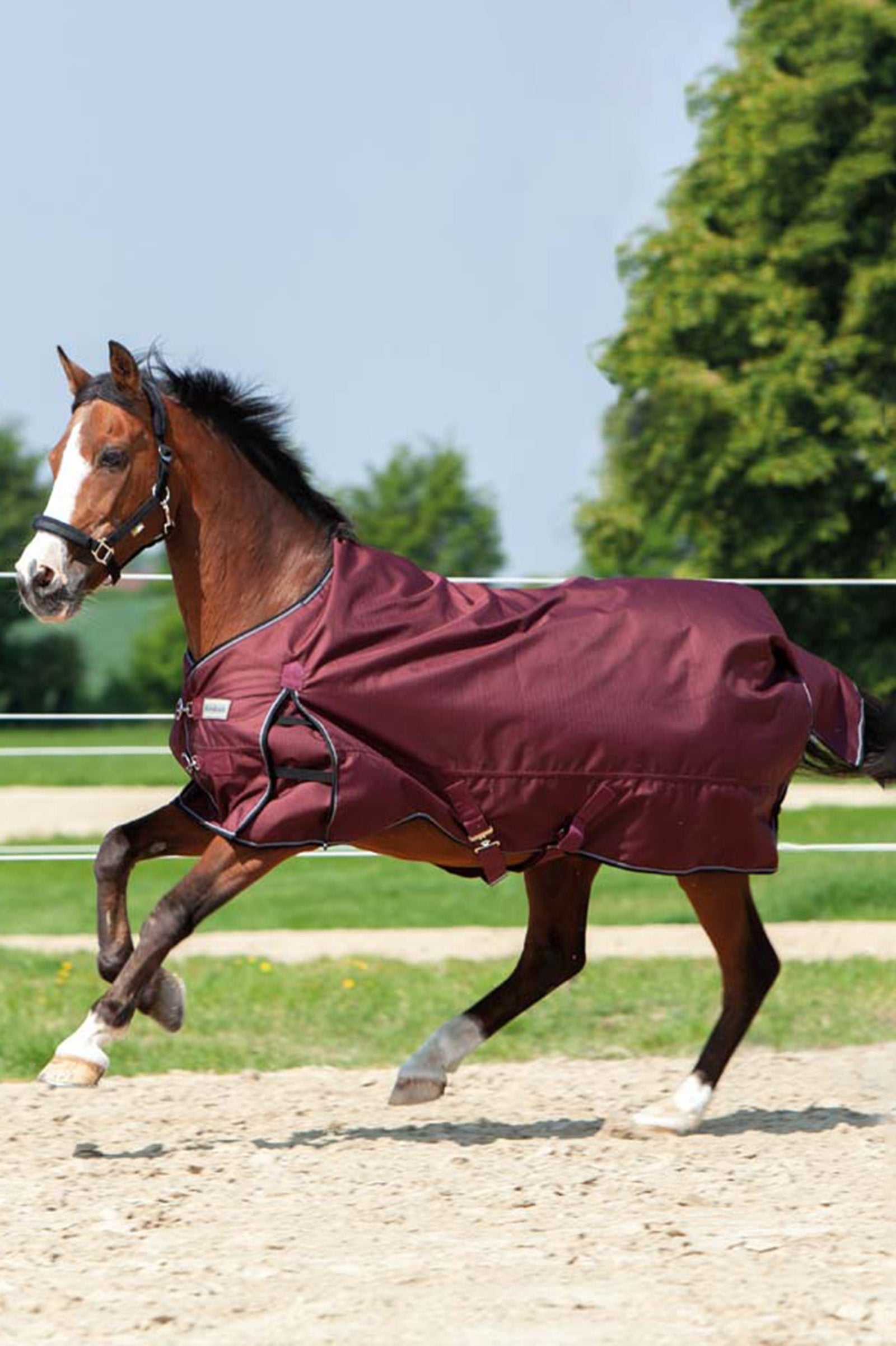 Kavalkade Alaska IV Fleecedeken Paardendekens