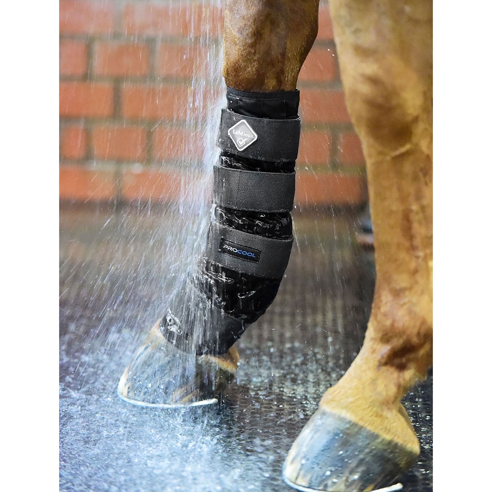 LeMieux Koud water beschermers Leg Protection & Hoof Protection for Horses