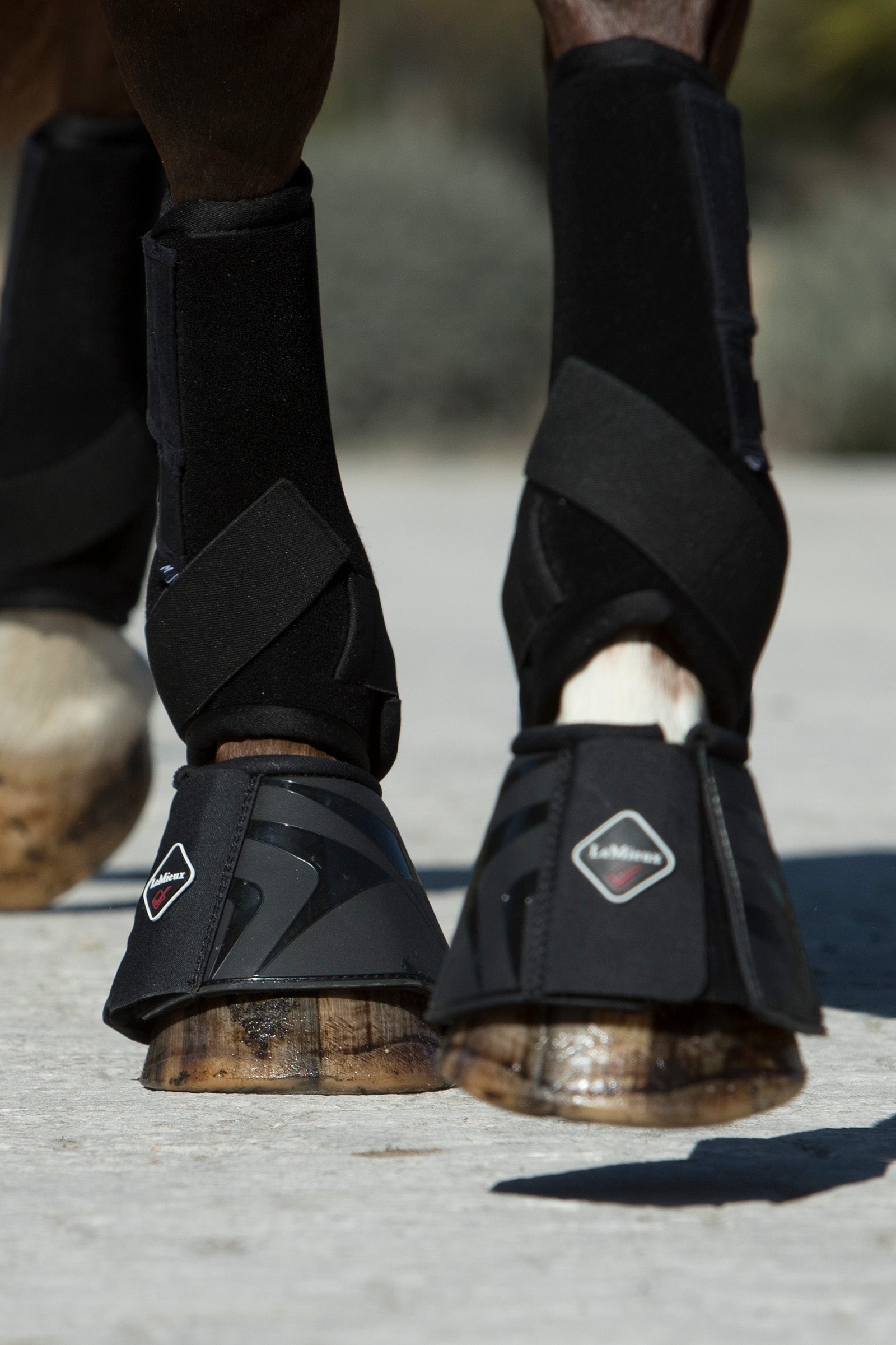 LeMieux ProShell Springschoenen Leg Protection & Hoof Protection for Horses