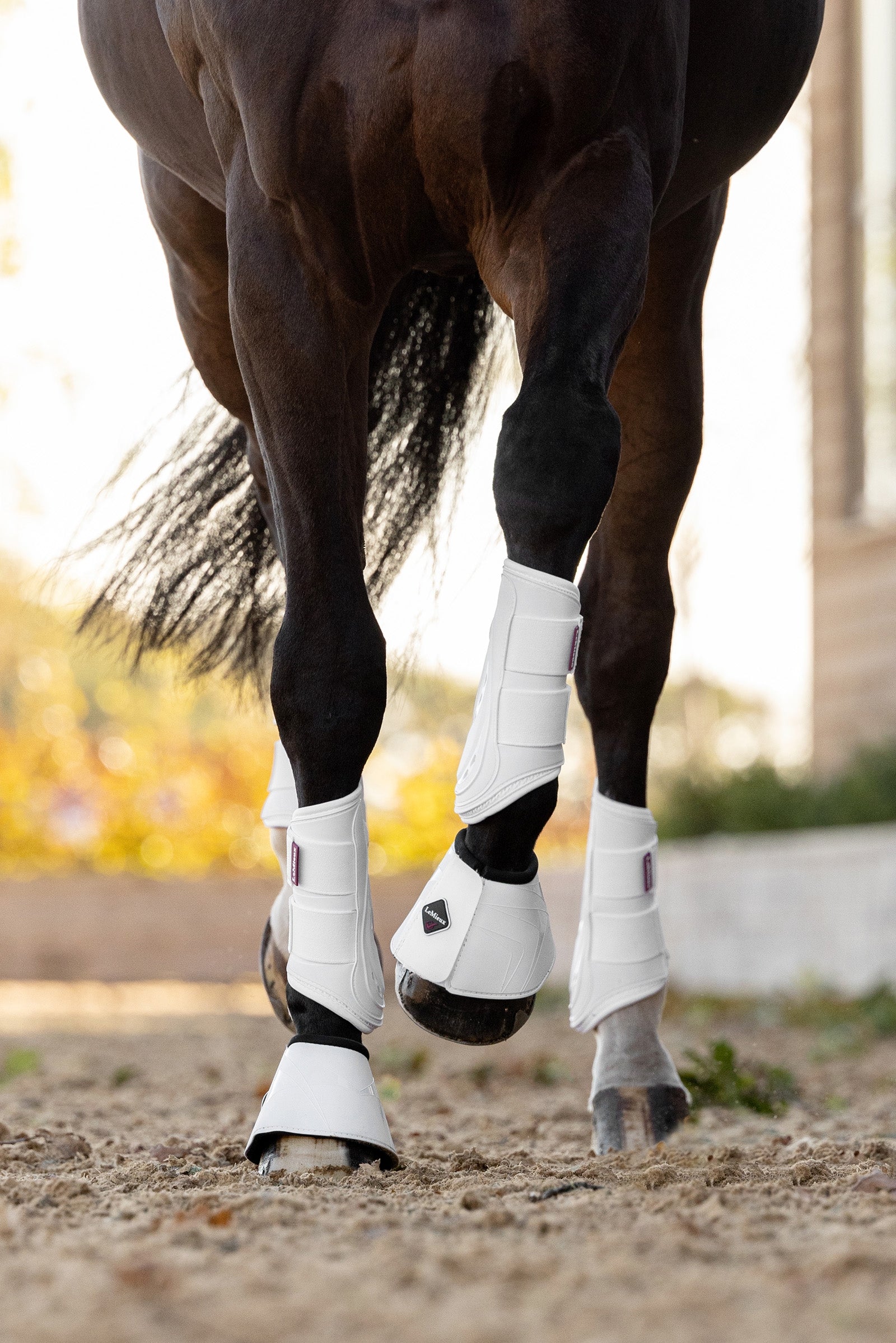 LeMieux ProShell Springschoenen Leg Protection & Hoof Protection for Horses