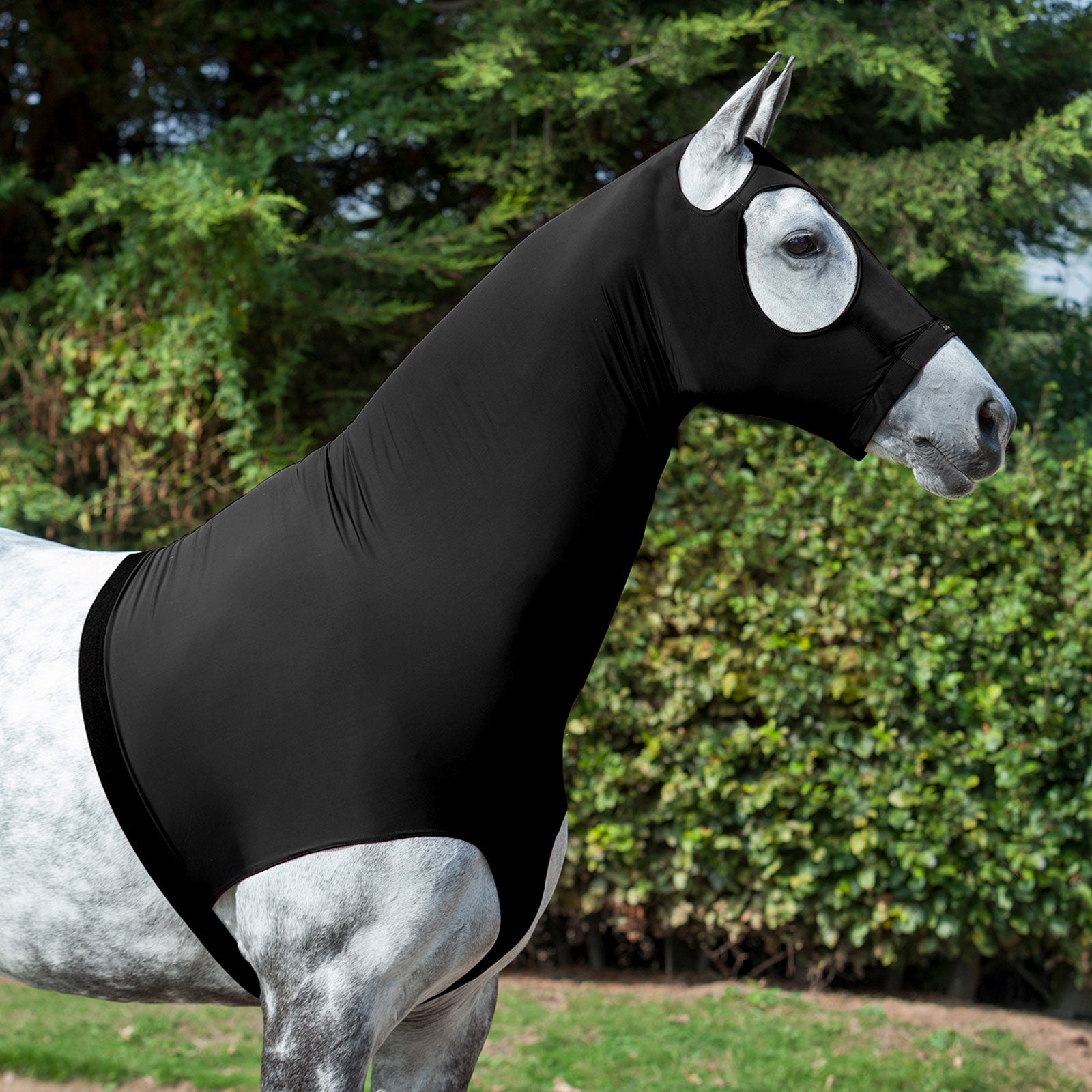 LeMieux Lycra Borstbeschermer Paardendekens