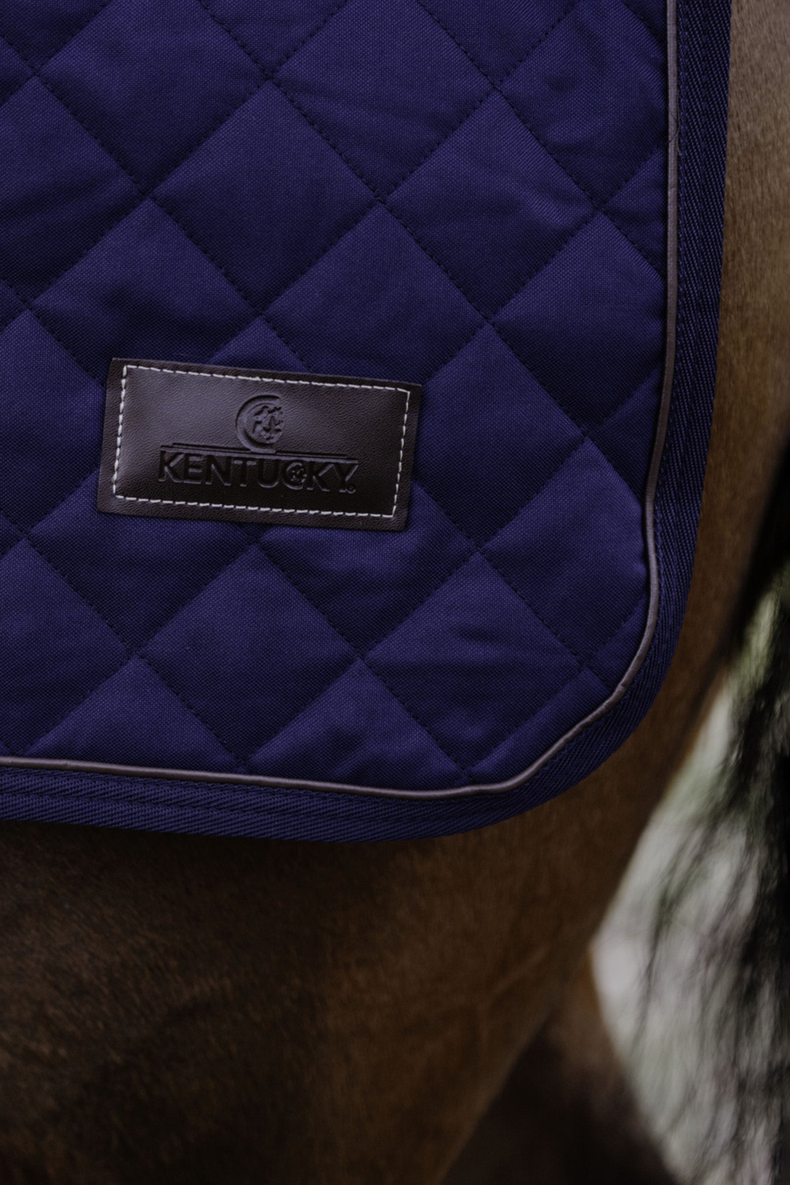 Kentucky Horsewear Riding Rug, 160g Horse Rugs