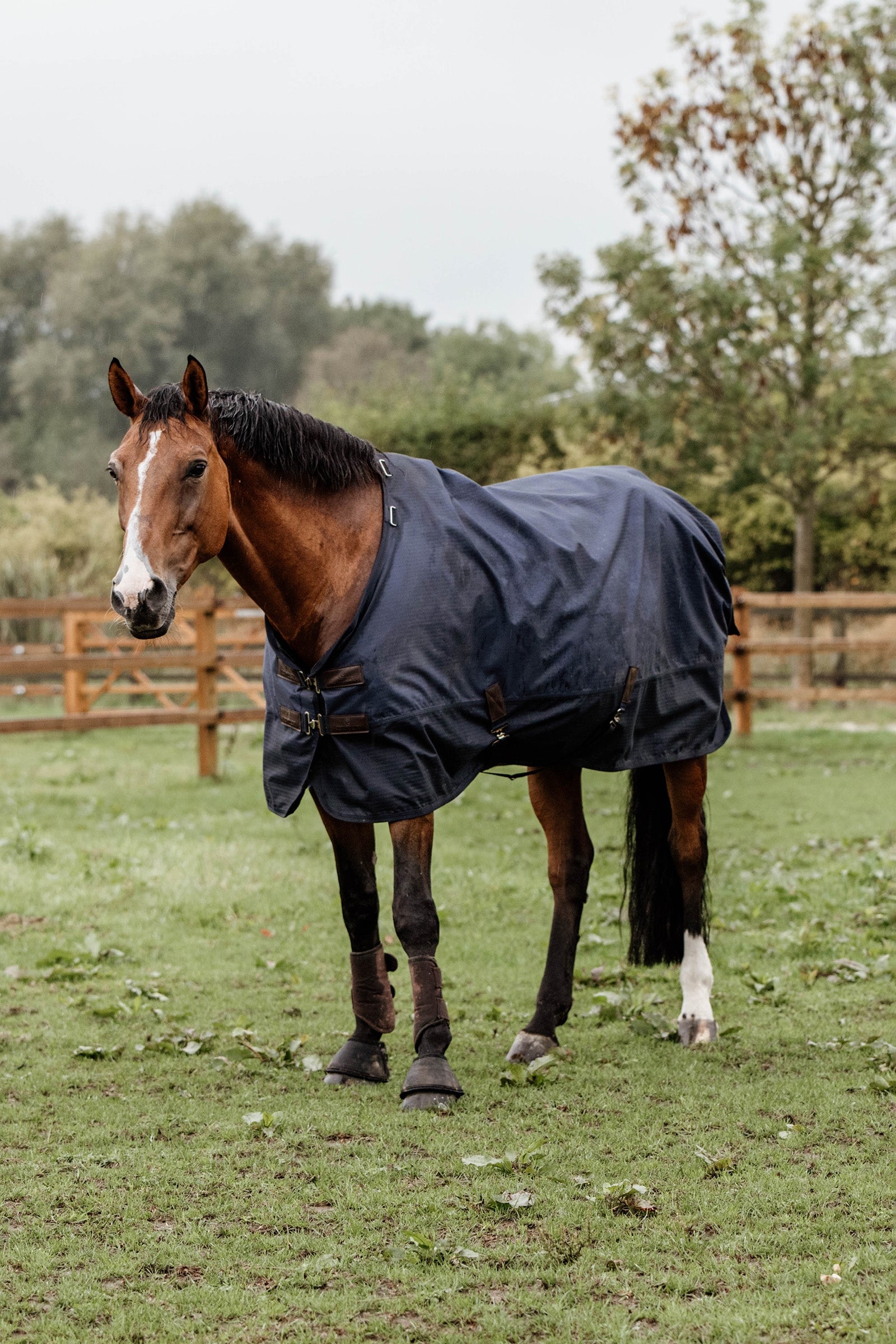 Kentucky Horsewear Turnout Rug All Weather, 300g Horse Rugs