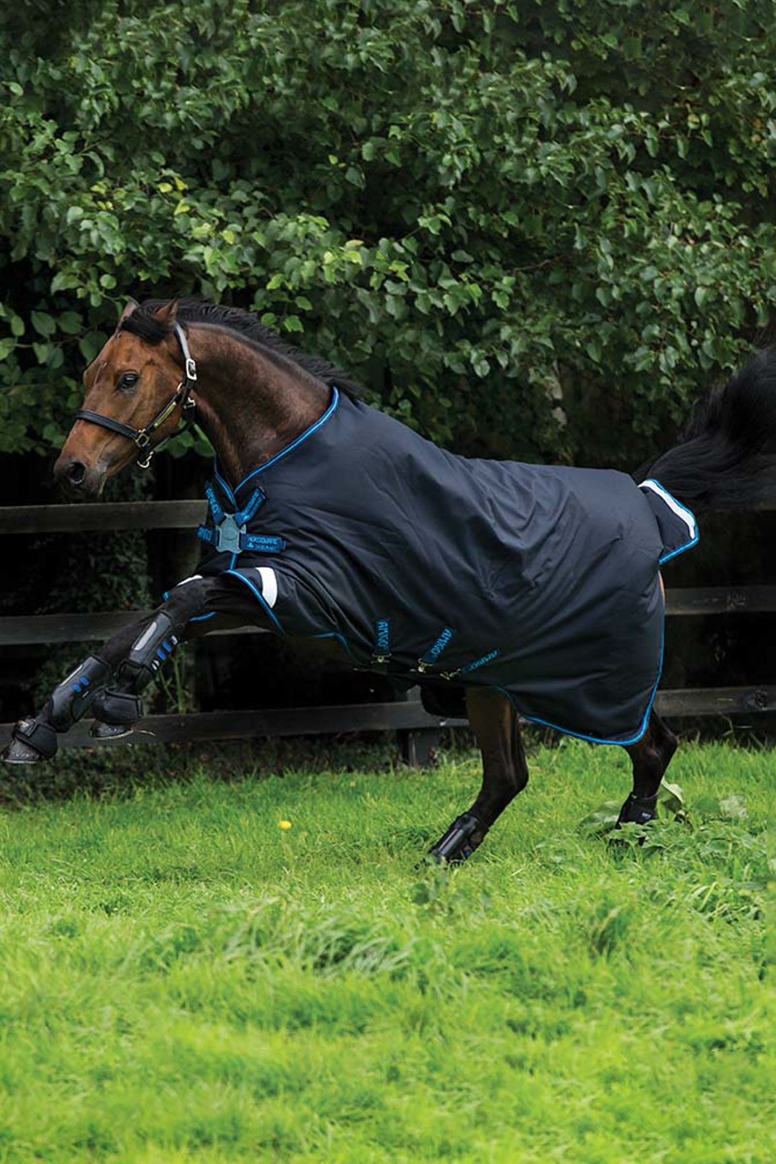 Horseware Amigo Bravo 12 Paardendeken, 100 grams, schijfsluiting Paardendekens