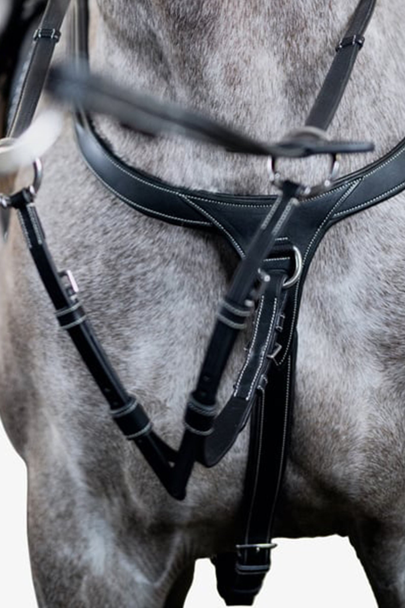 PS of Sweden Breastplate Tokyo Bridles & Reins