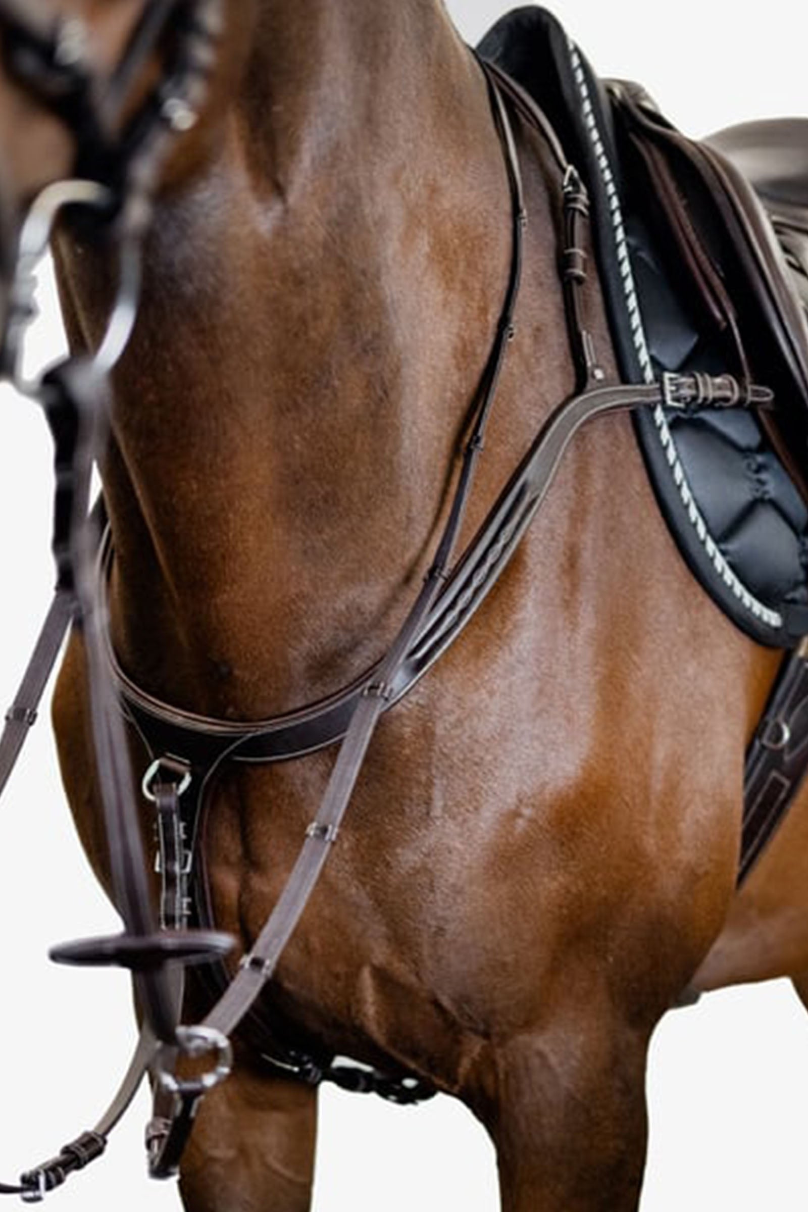 PS of Sweden Breastplate Tokyo Bridles & Reins