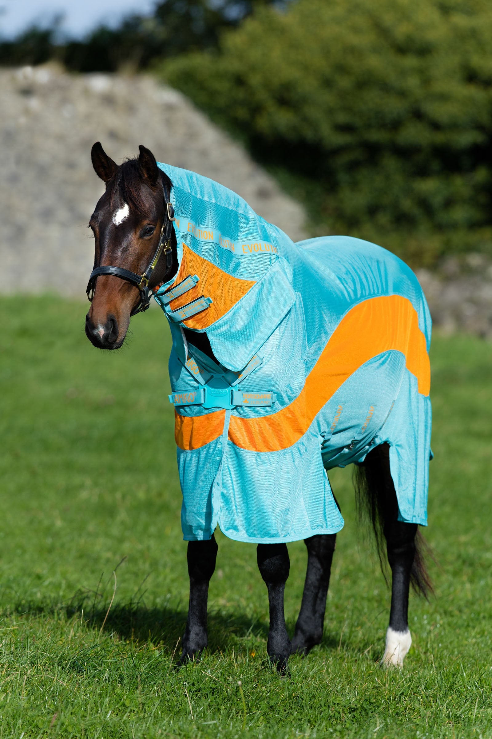 Horseware Amigo Evolution Paardendekens