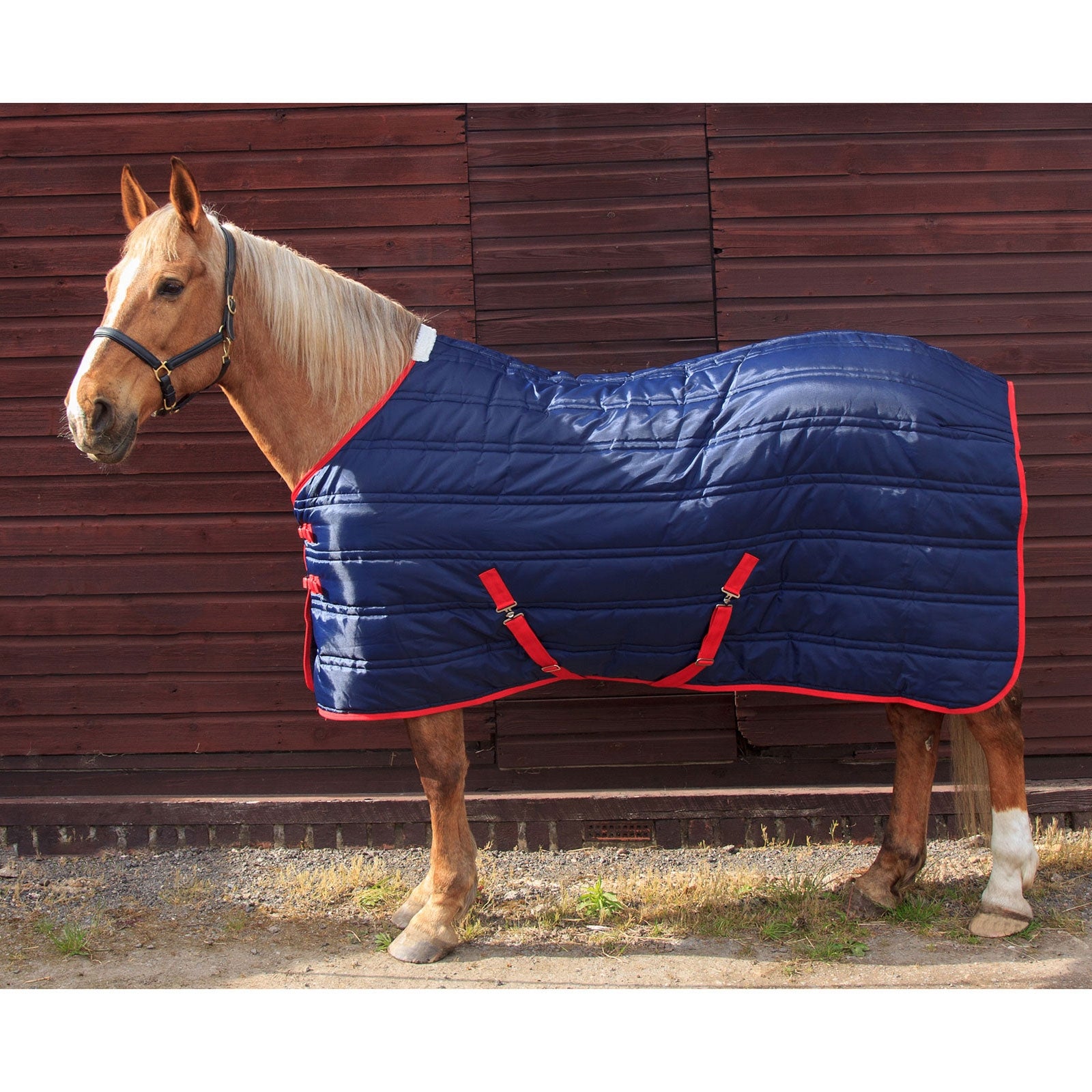 John Whitaker JW Thomas Staldeken, 250 grams Paardendekens