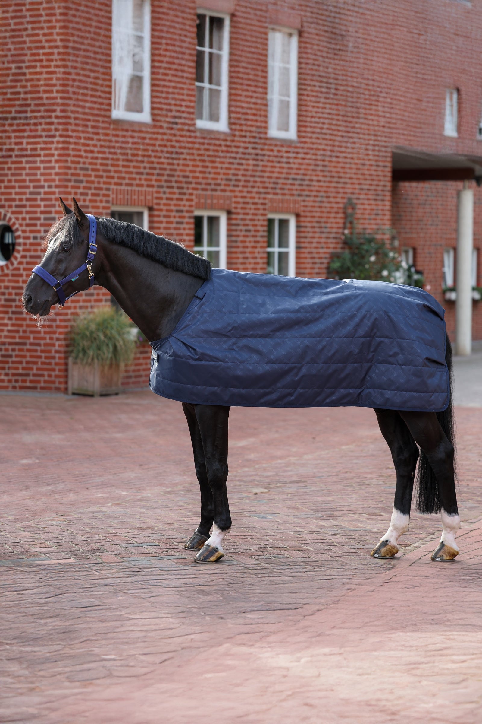 Bucas Liner, 200 g Horse Rugs