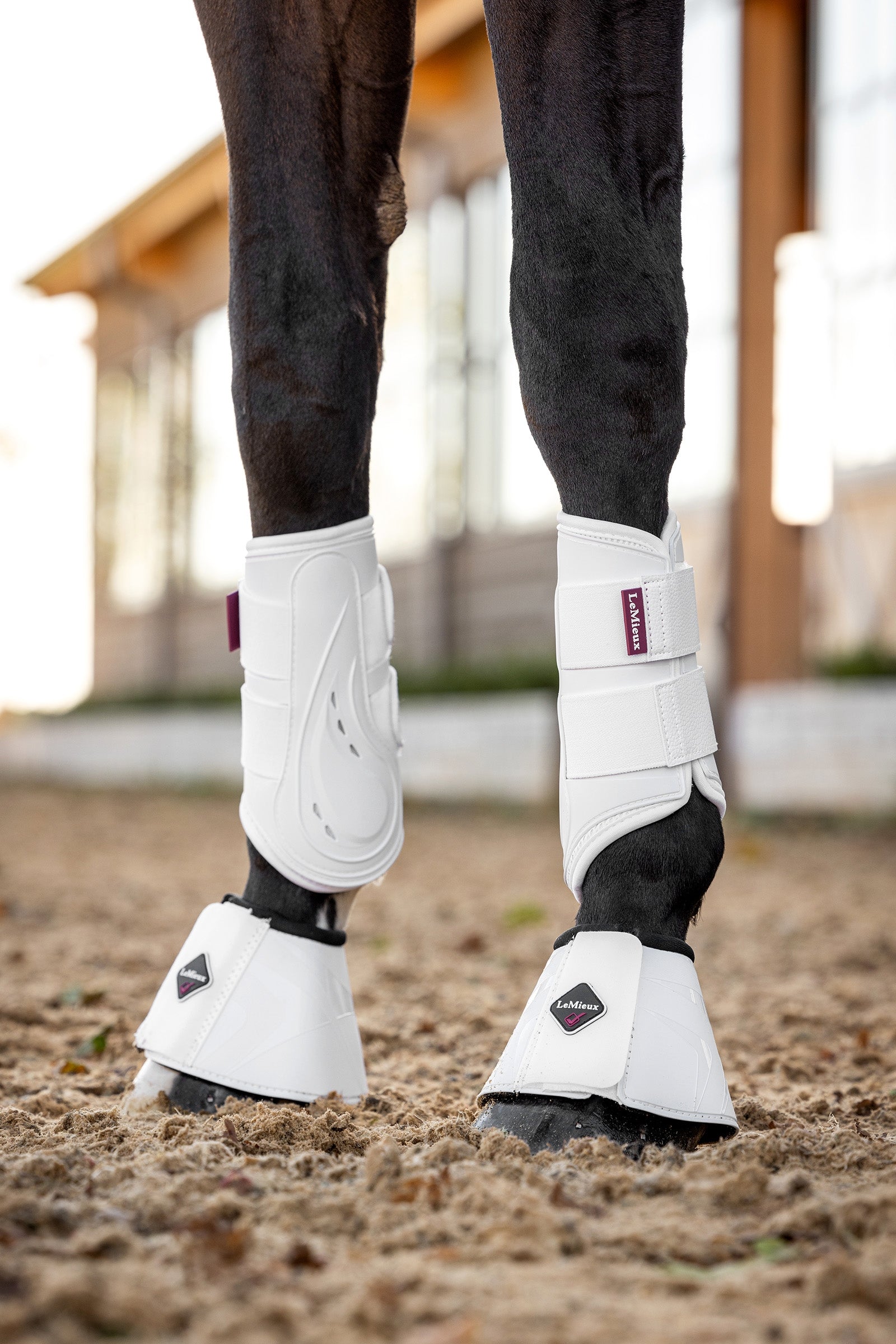 LeMieux ProShell Brushing Boots Leg Protection & Hoof Protection for Horses