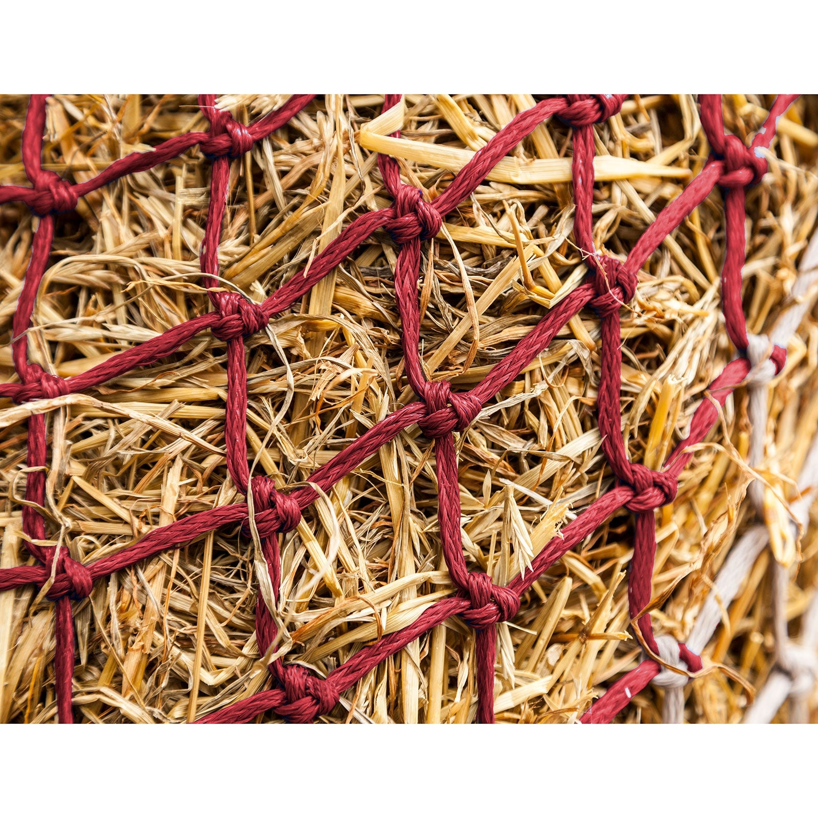 LeMieux Hippo Hooinet Voederen & Drinken