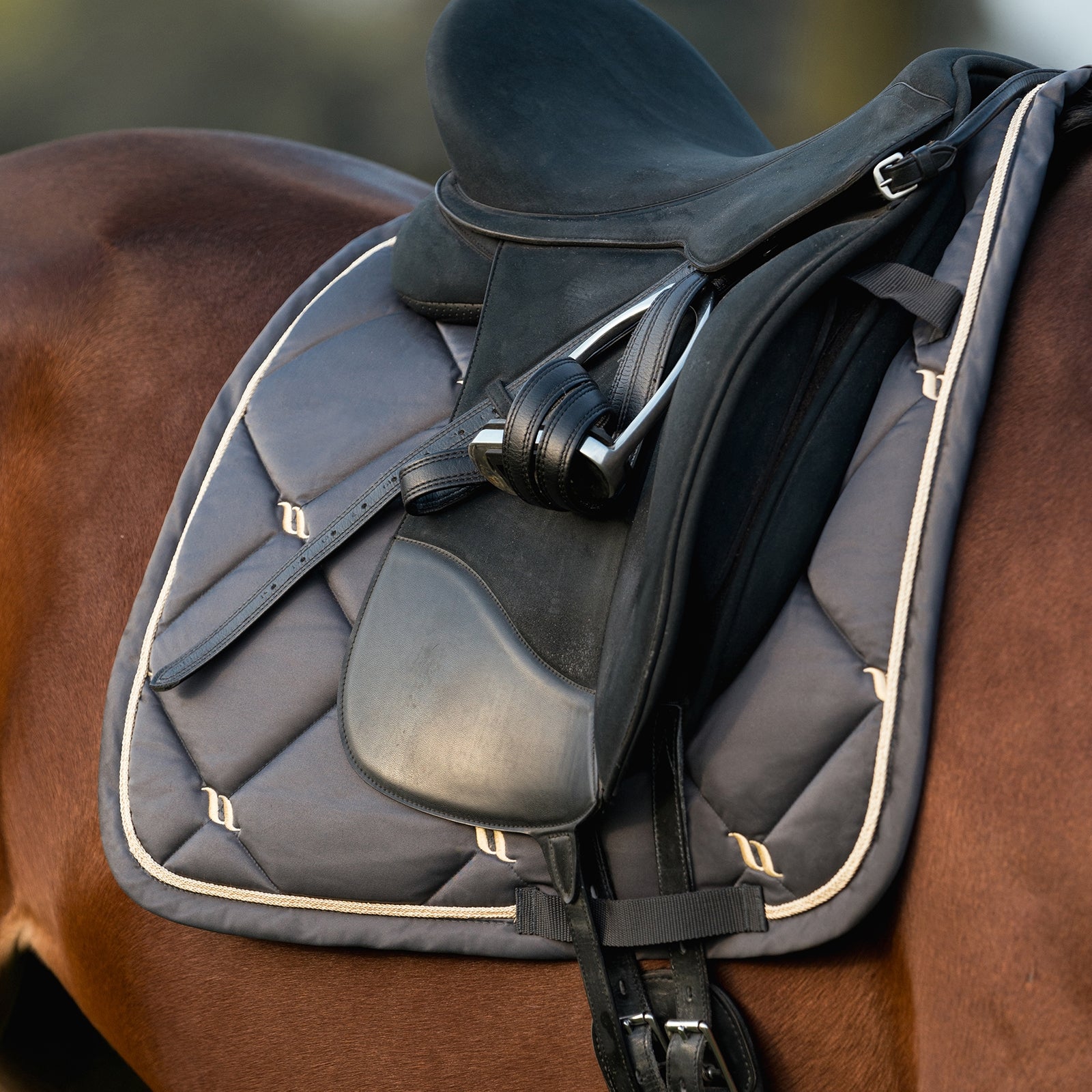 Back on Track Night Collection Dressage Saddle Pad Saddle Pads