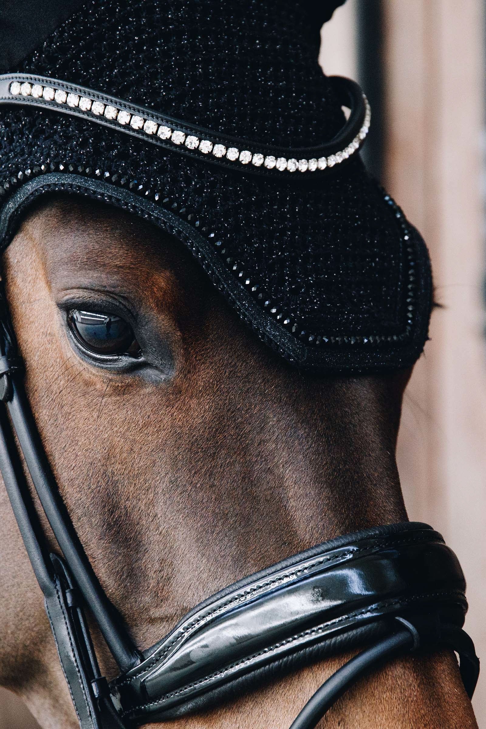 Kentucky Horsewear Wellington Glitter Soundless Fly Veil Saddle Pads