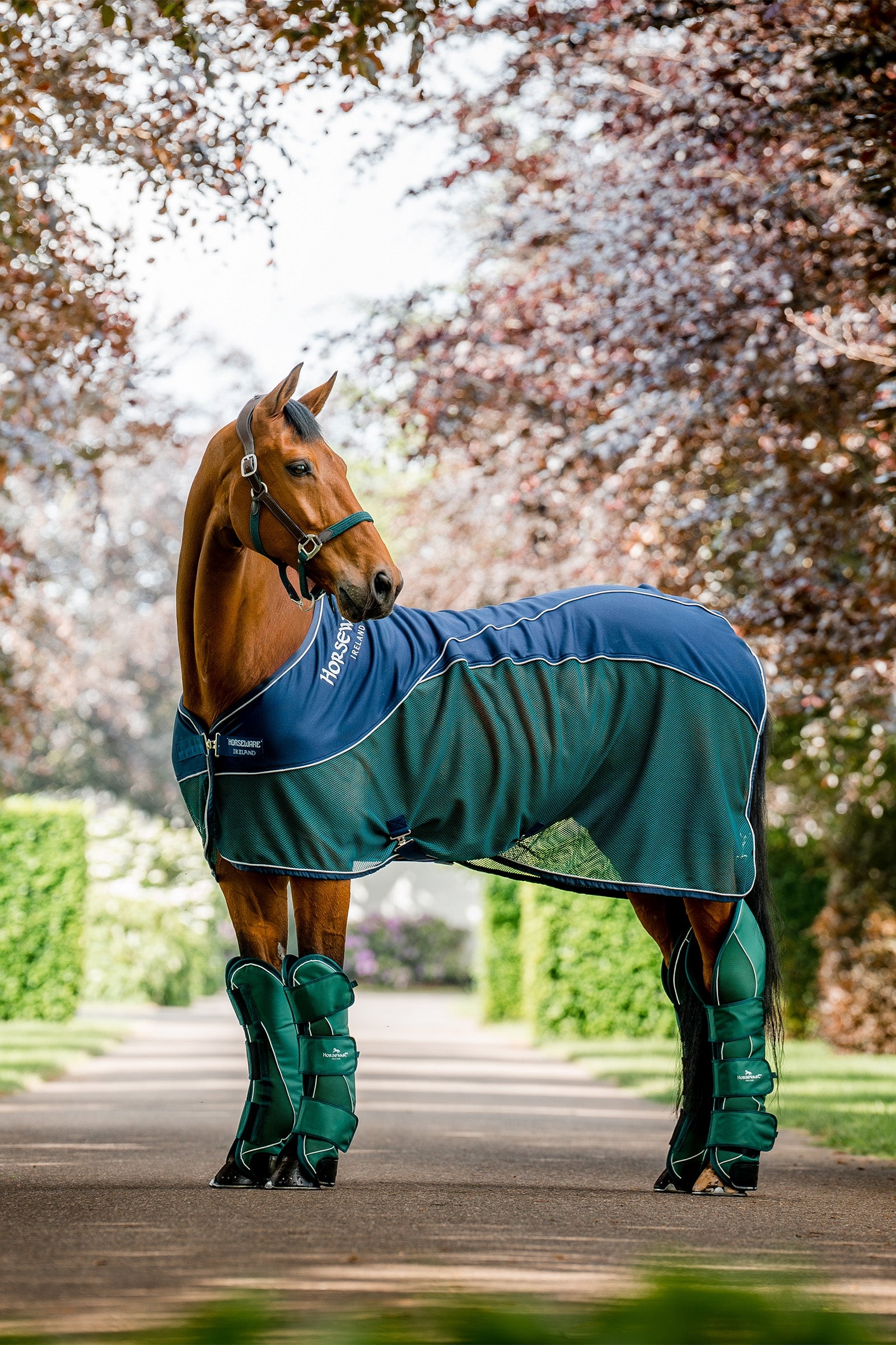 Horseware Signature Travel Boots Leg Protection & Hoof Protection for Horses