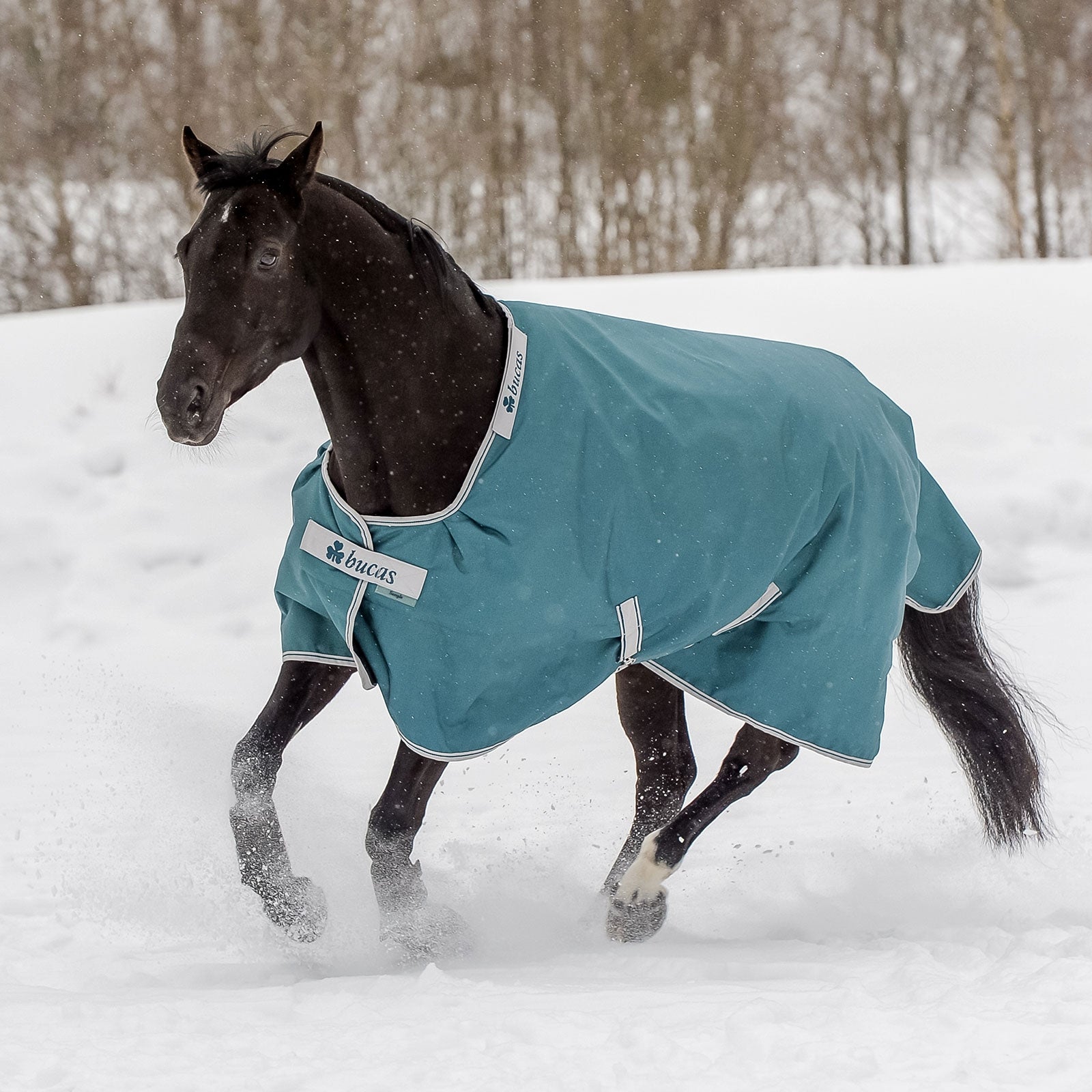 Bucas Atlantic Turnout 400g Paardendekens