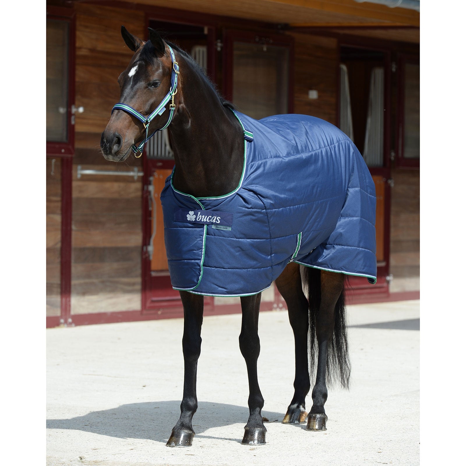 Bucas Quilt 300g SF Paardendekens