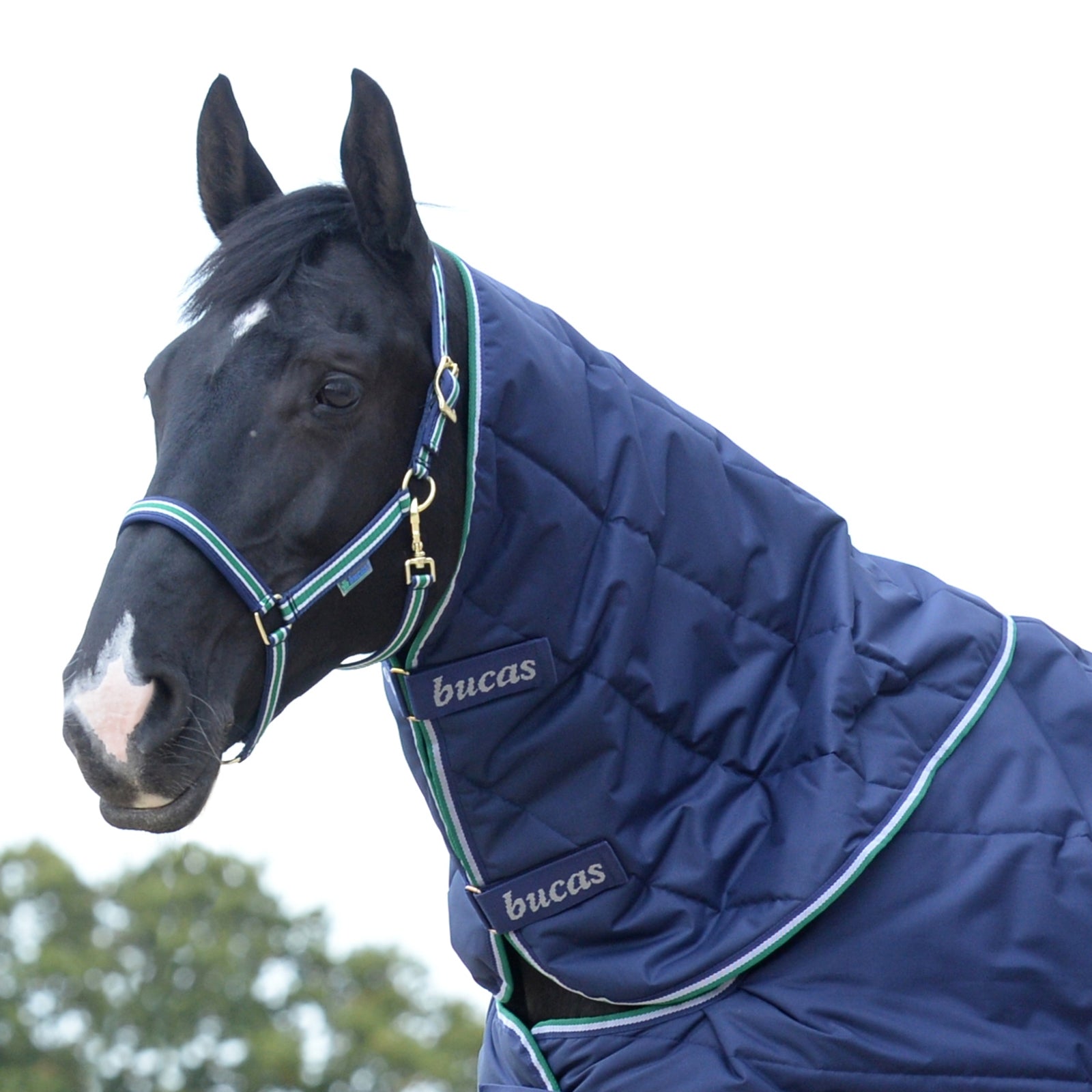 Bucas Quilt Nek deel Paardendekens