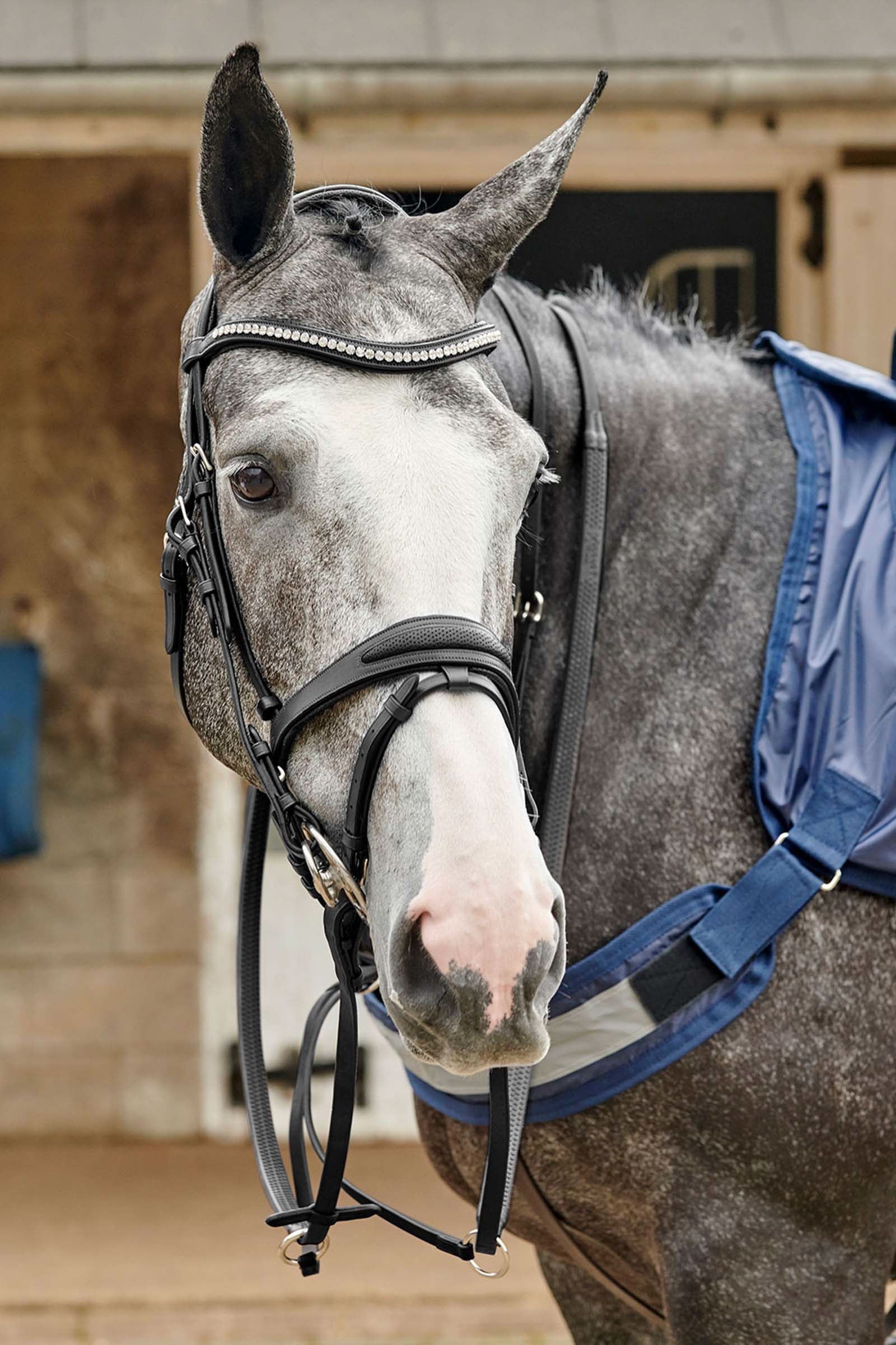 John Whitaker Chicago Geperforeerd Bling Hoofdstel Hoofdstellen & Teugels