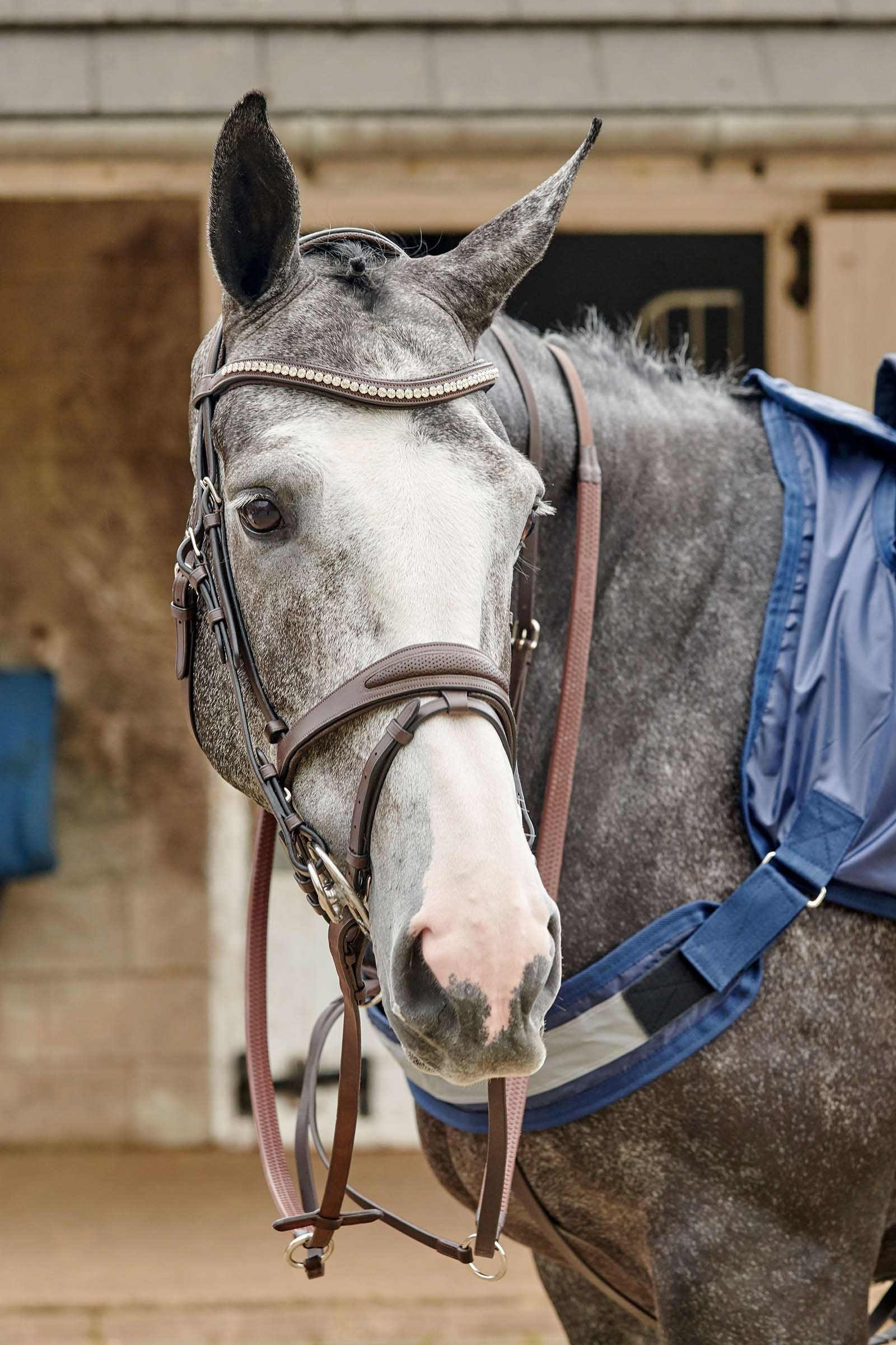 John Whitaker Chicago Geperforeerd Bling Hoofdstel Hoofdstellen & Teugels