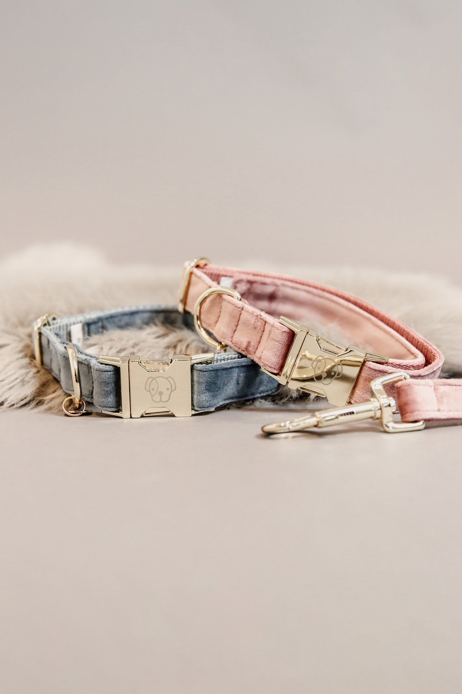 Kentucky Dogwear Dog Collar Velvet Dog Accesories