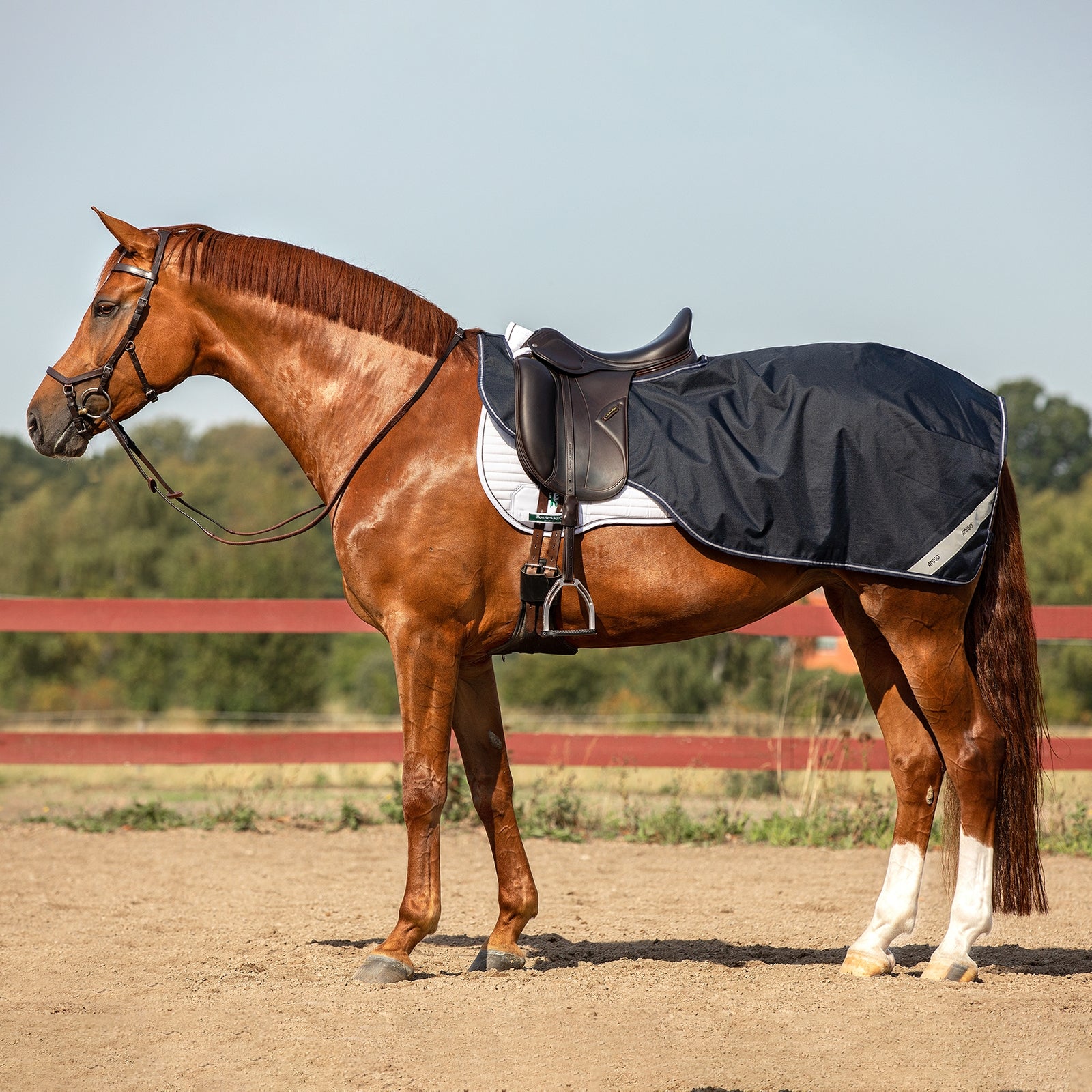 Horseware Amigo Ripstop Showdeken Paardendekens