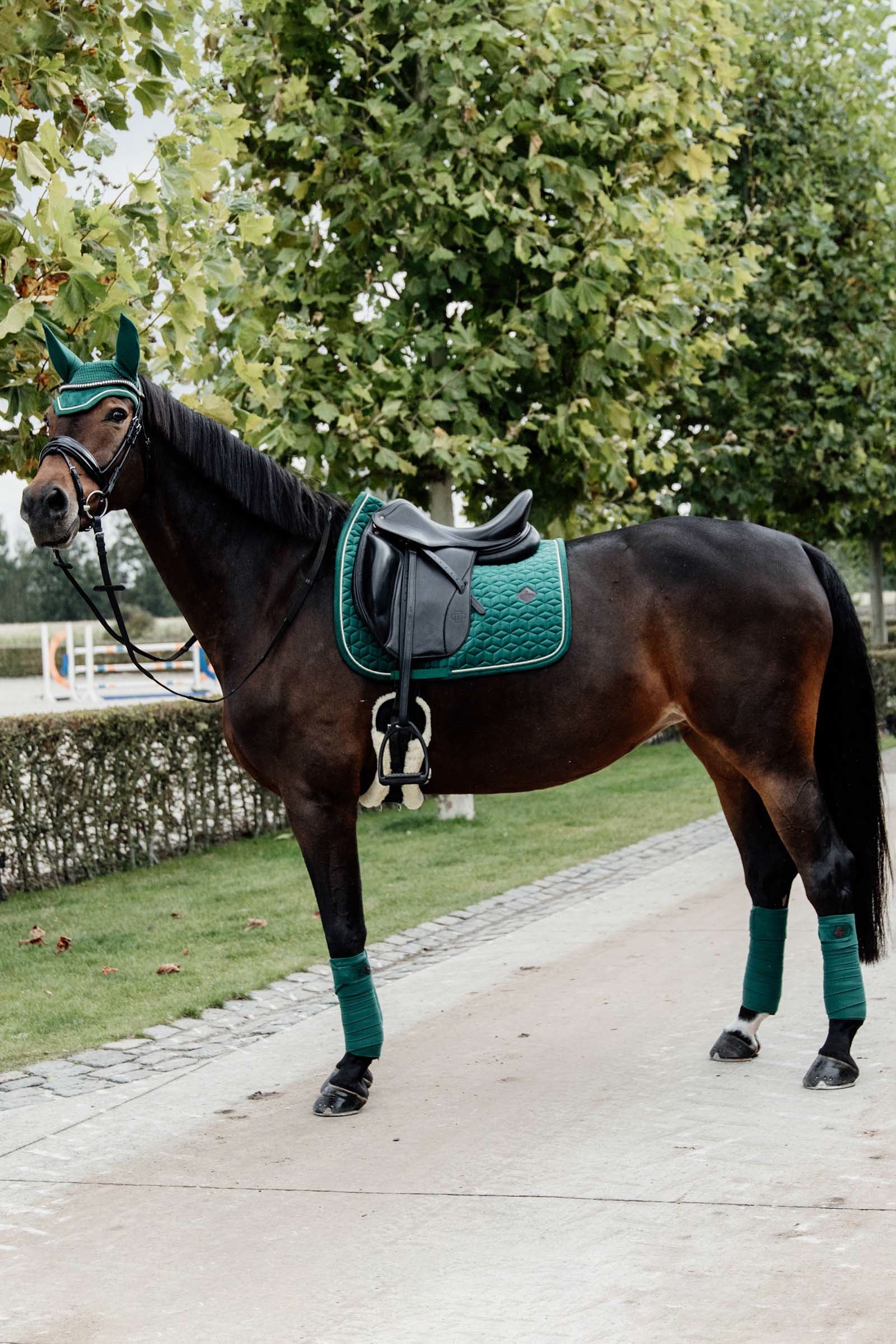 Kentucky Horsewear Velvet Dressage Saddle Pad Saddle Pads