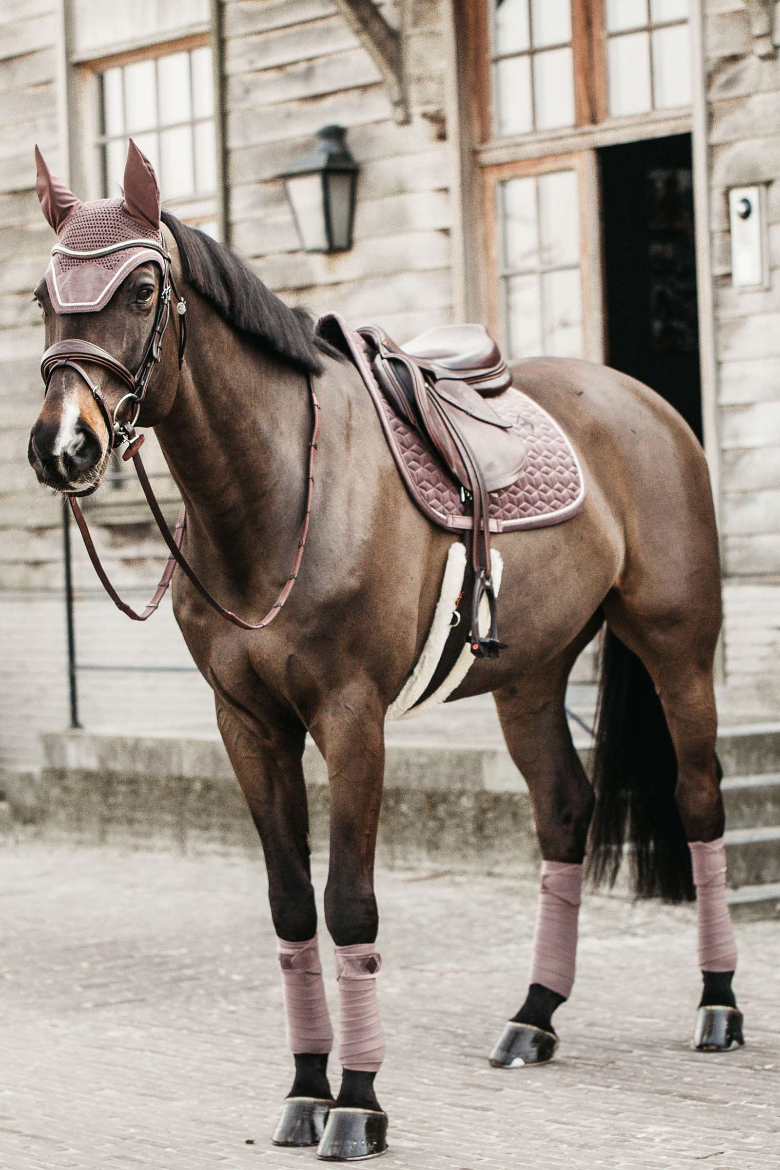 Kentucky Horsewear Velvet Jumping Saddle Pad Saddle Pads