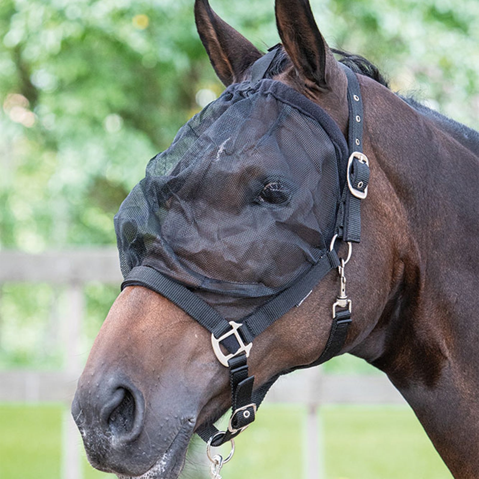 Harry's Horse Fly Mask Headcollar Halsters & Halstertouwen