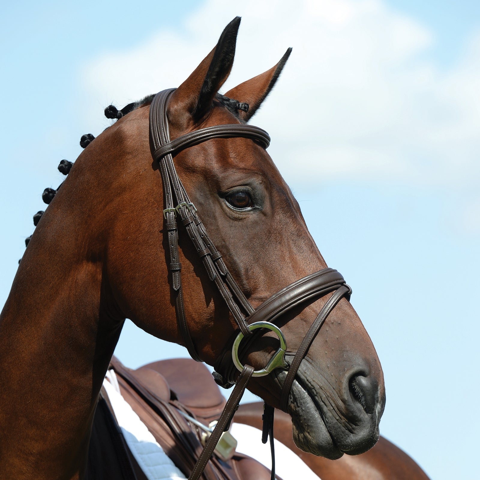 Collegiate Syntovia+ unterlegte Trense Bridles & Reins