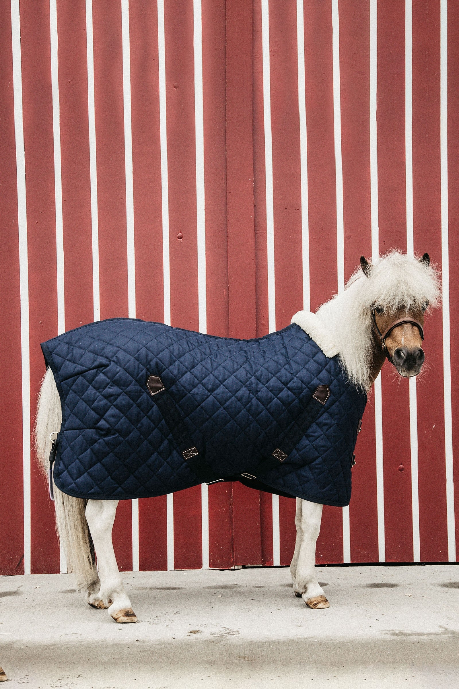Kentucky Horsewear staldeken 400g Paardendekens